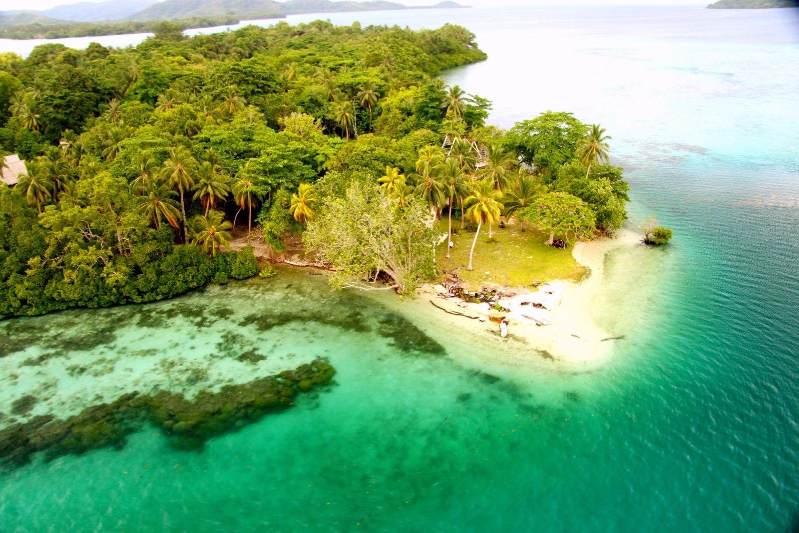 Beaches: Tavanipupu Palm Paradisiac Island Turquoise Beach Islands