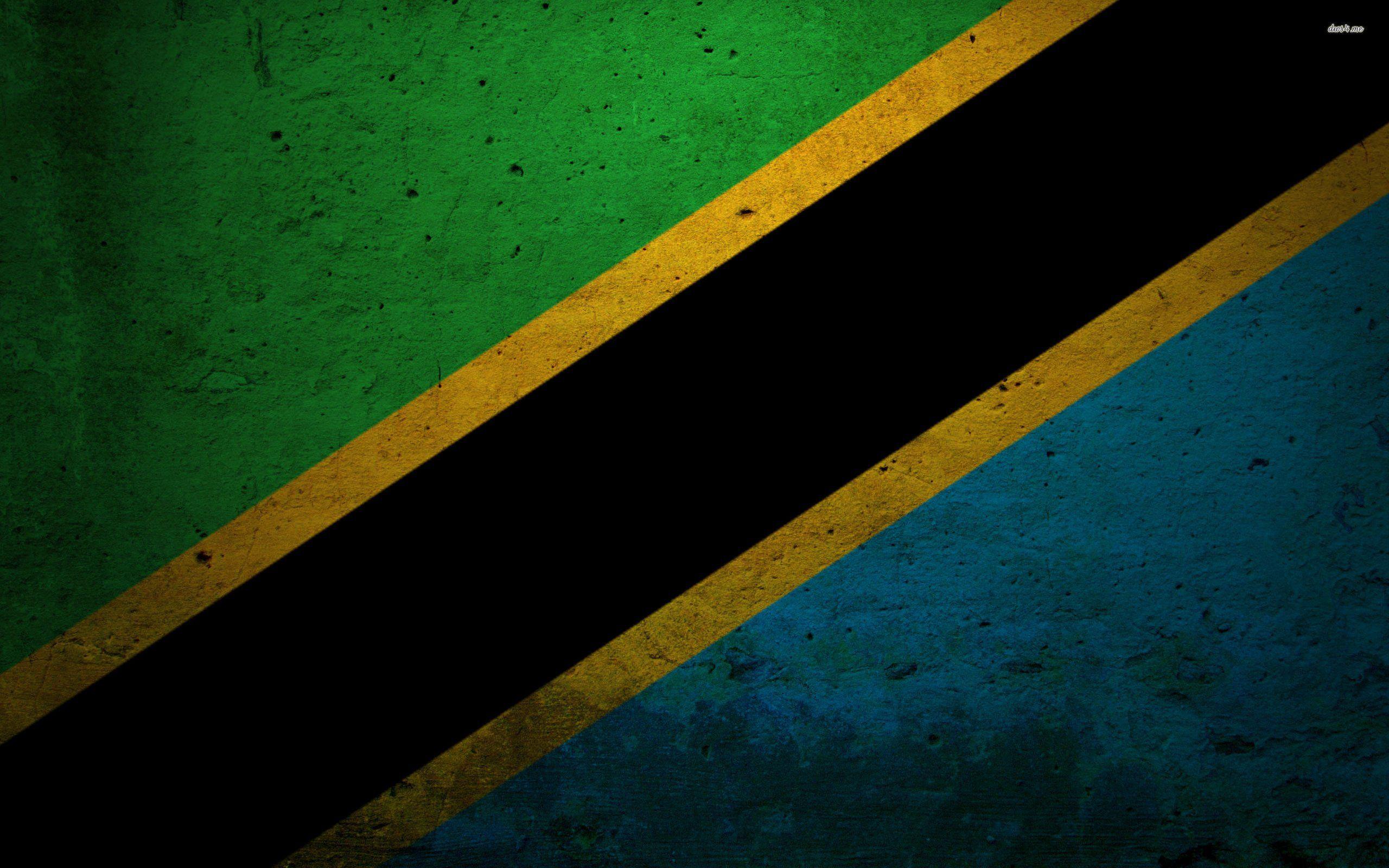 Tanzania Flag 501313