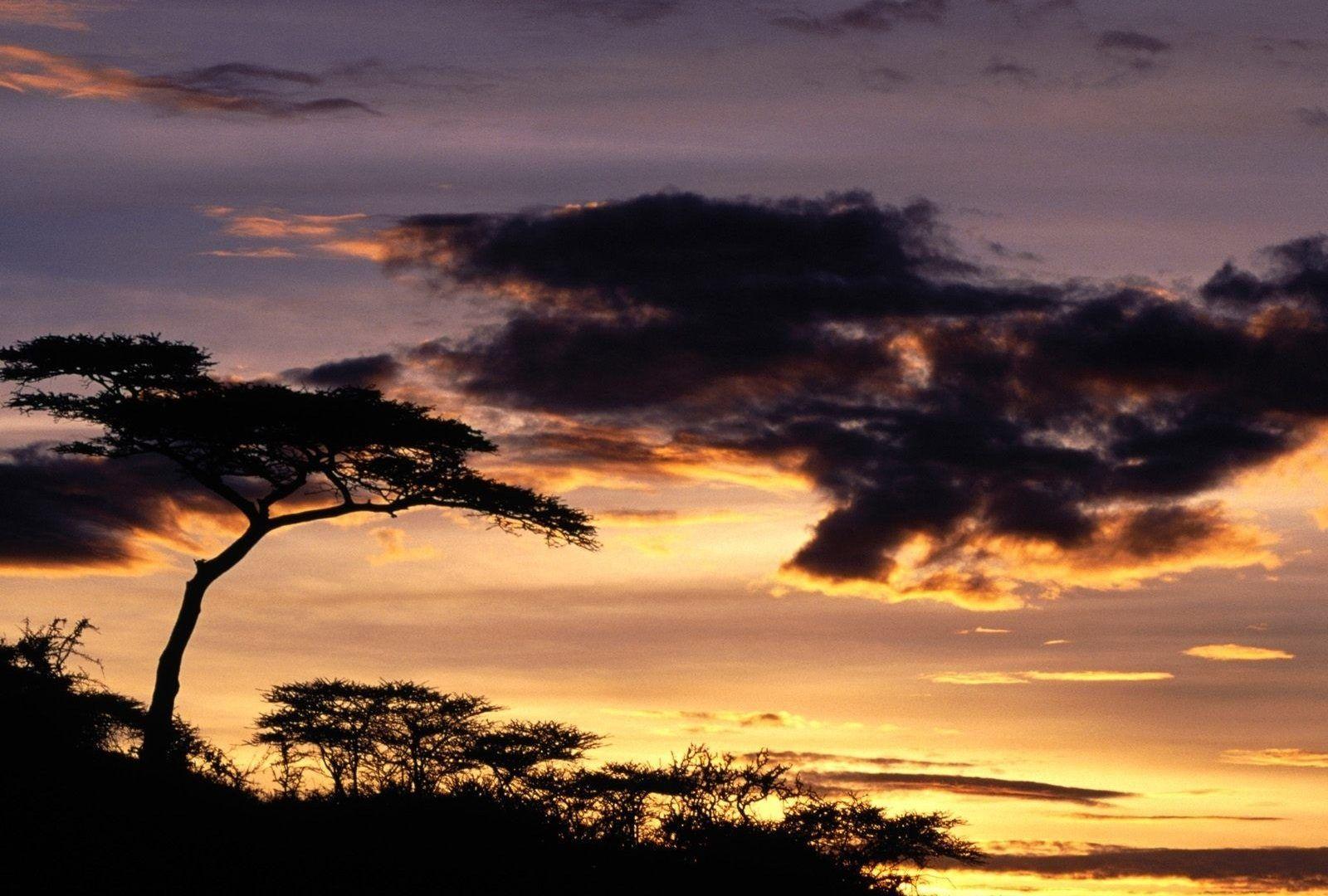New Tag wallpaper: Africa Beautiful Nature Sky New
