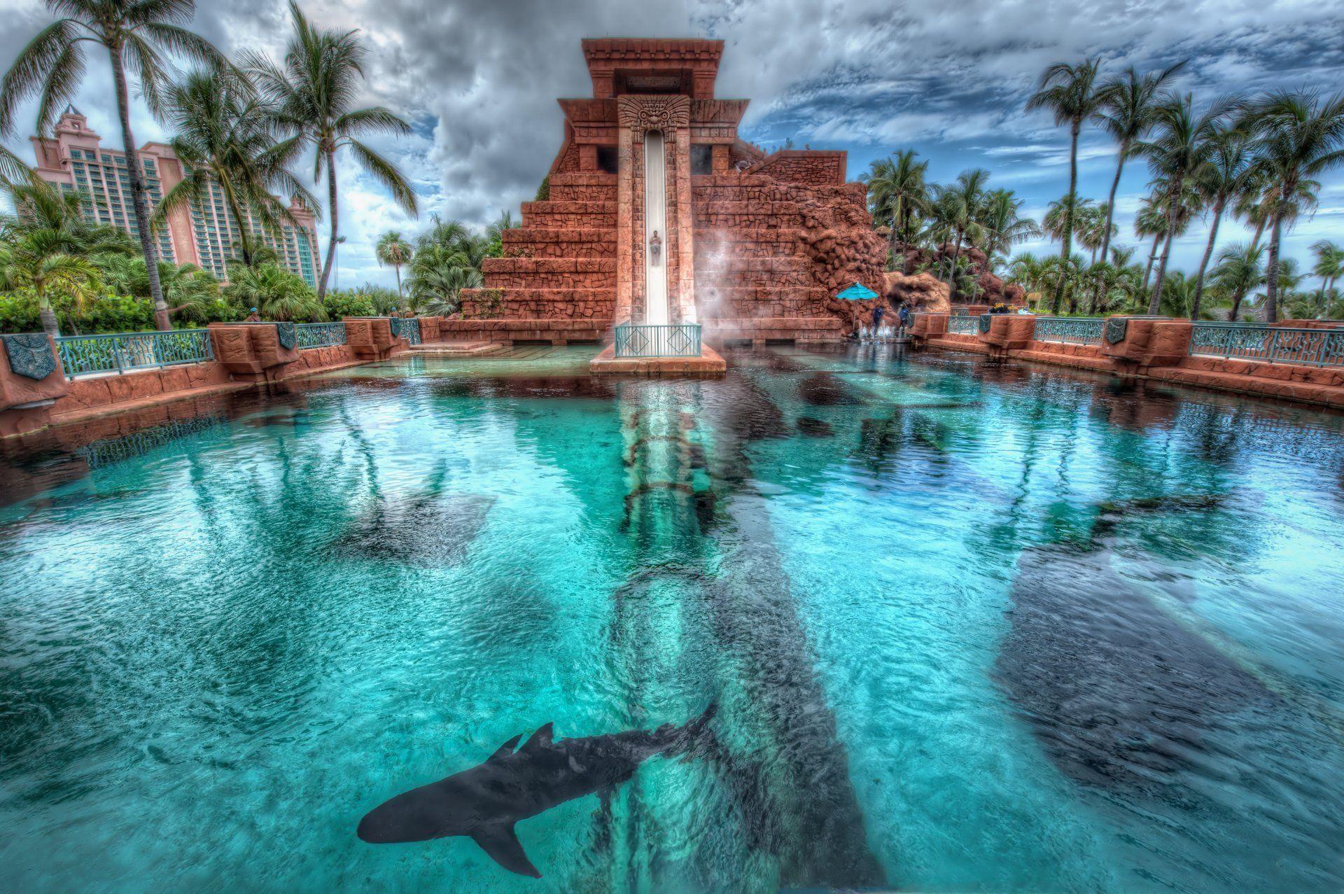 nassau bahamas nassau bahamas atlantis hotel palm pool shark HD