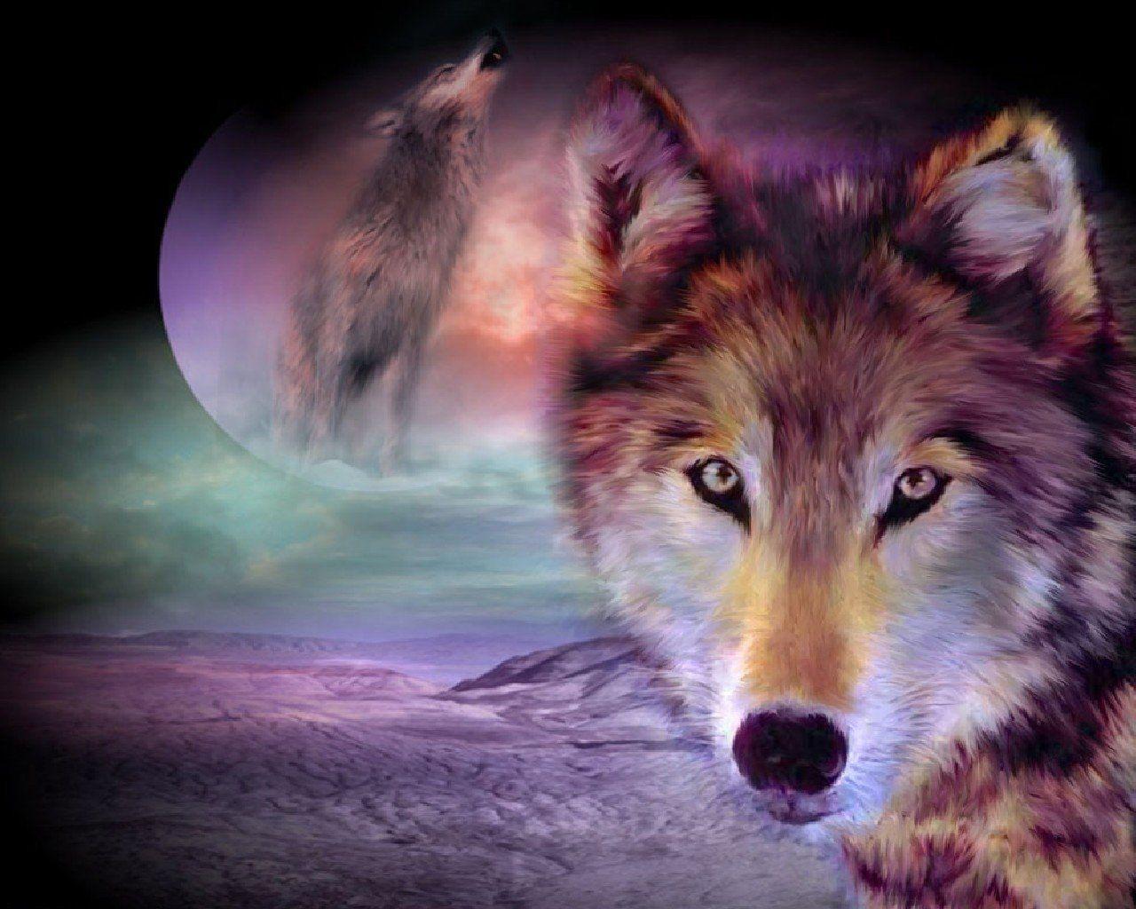 Red Wolf Wallpapers Wallpaper Cave
