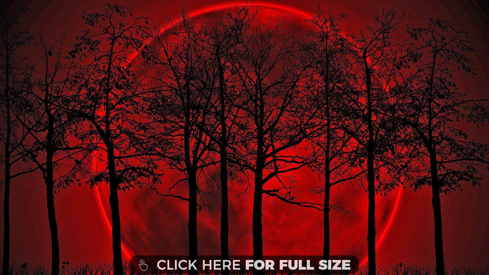 Red Blood Moon HD wallpaper