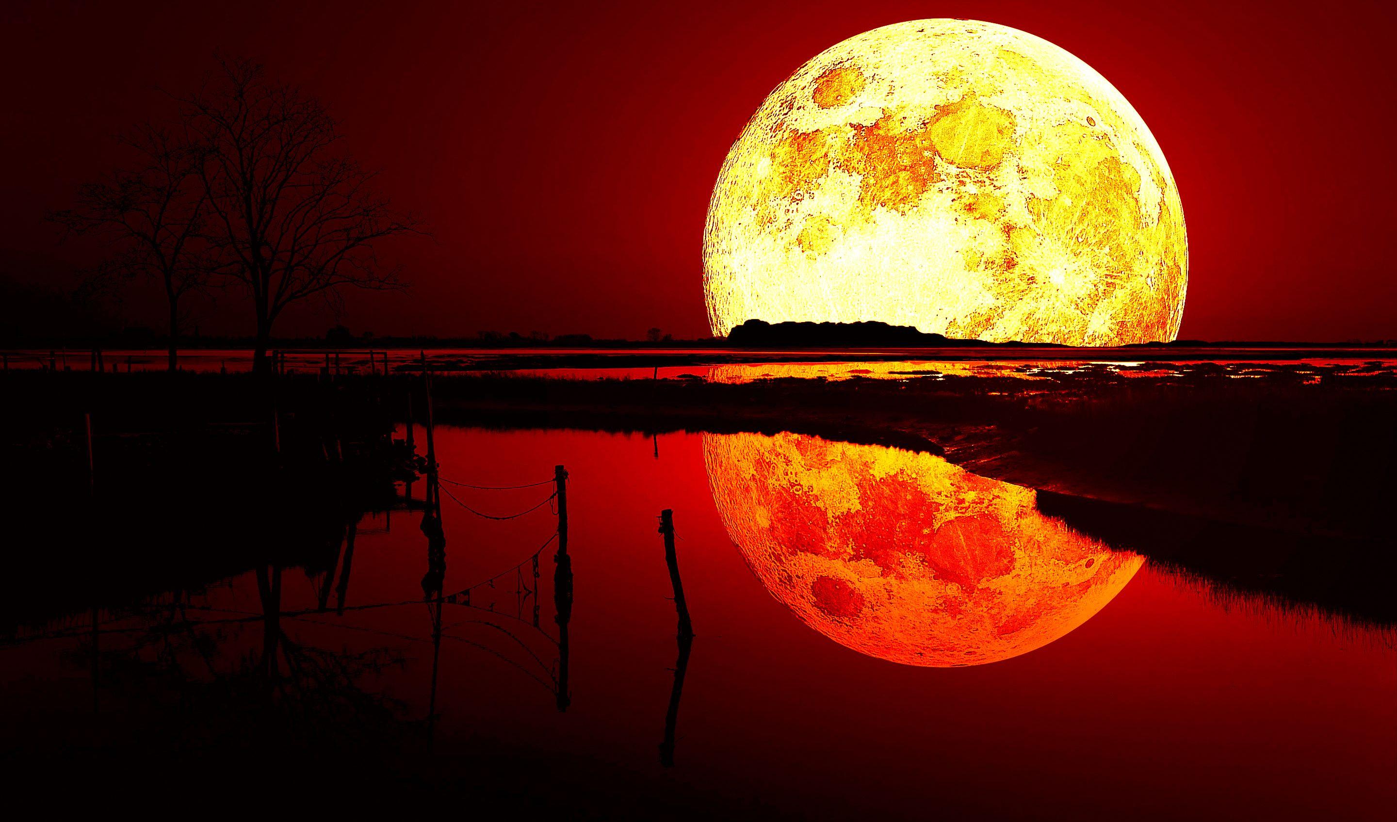 Blood Moon, Full HD 2K Wallpaper