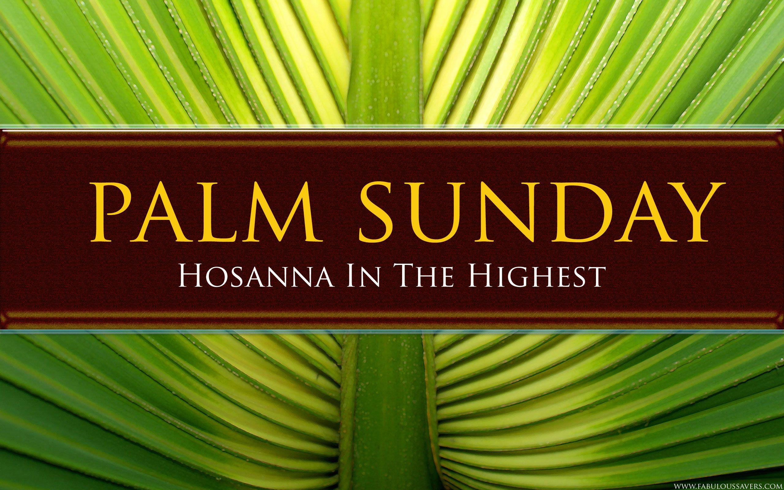 Palm Sunday 2014 Wallpaper Free Download HD Background. HD