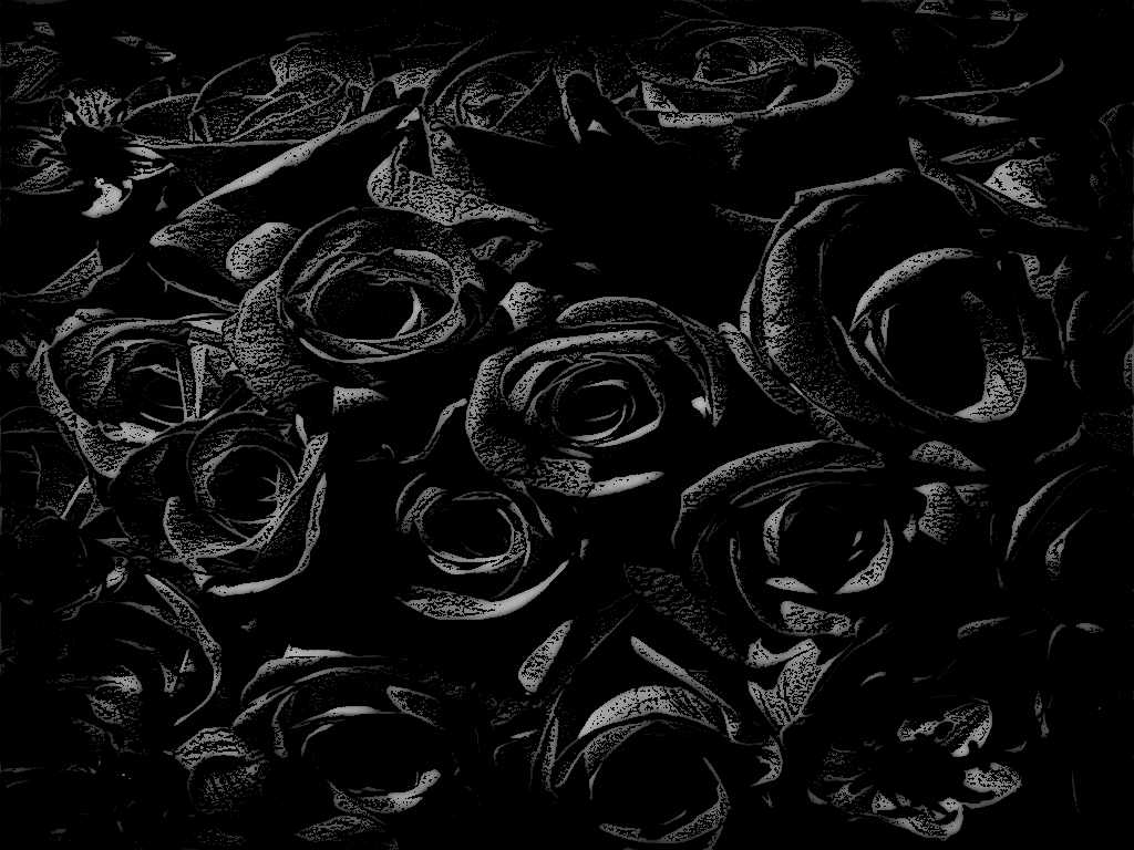 Gothic Dark Wallpaper Ideas Also Black Roses Background Picture