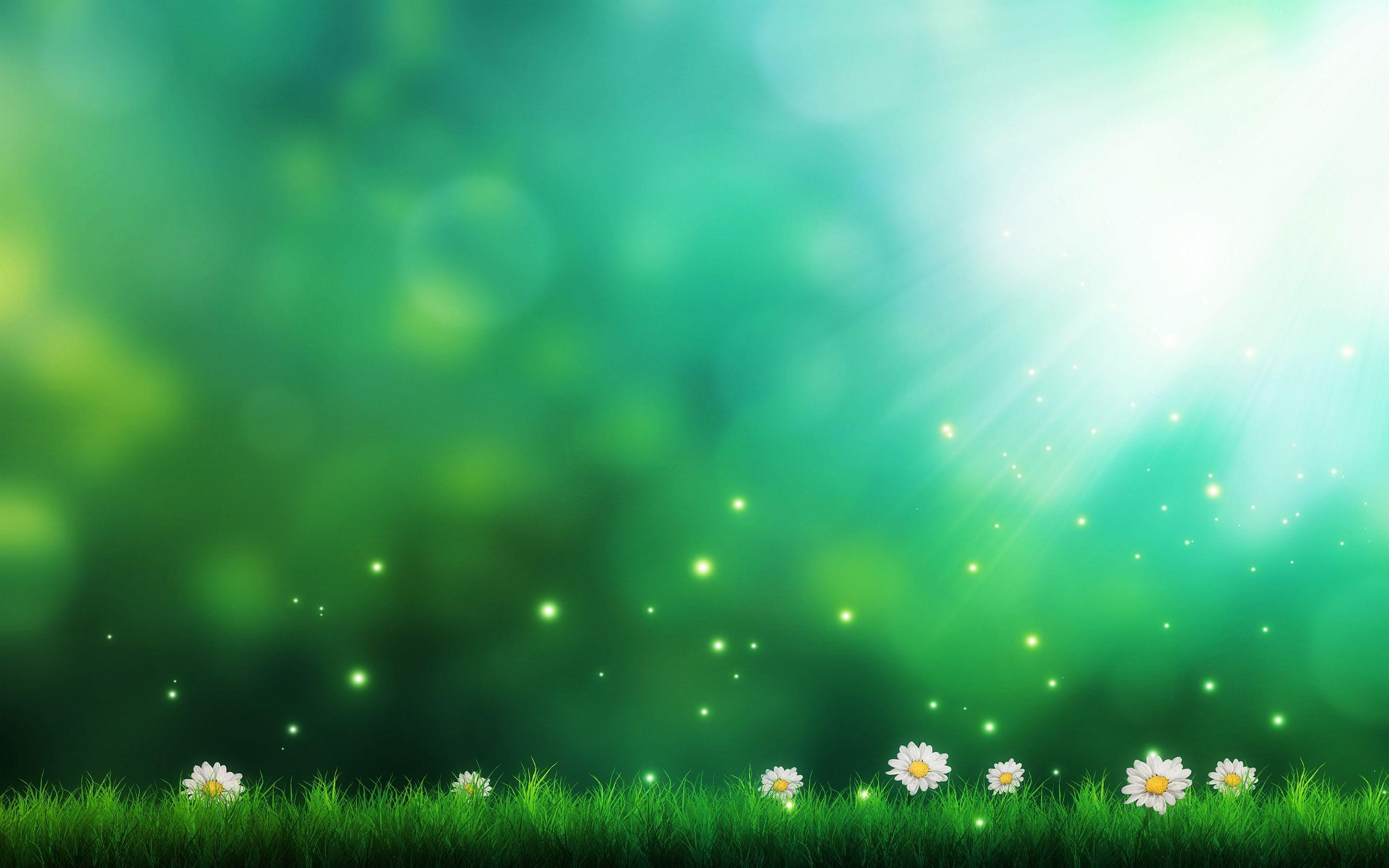 Green Background Picture 17225 2880x1800 px
