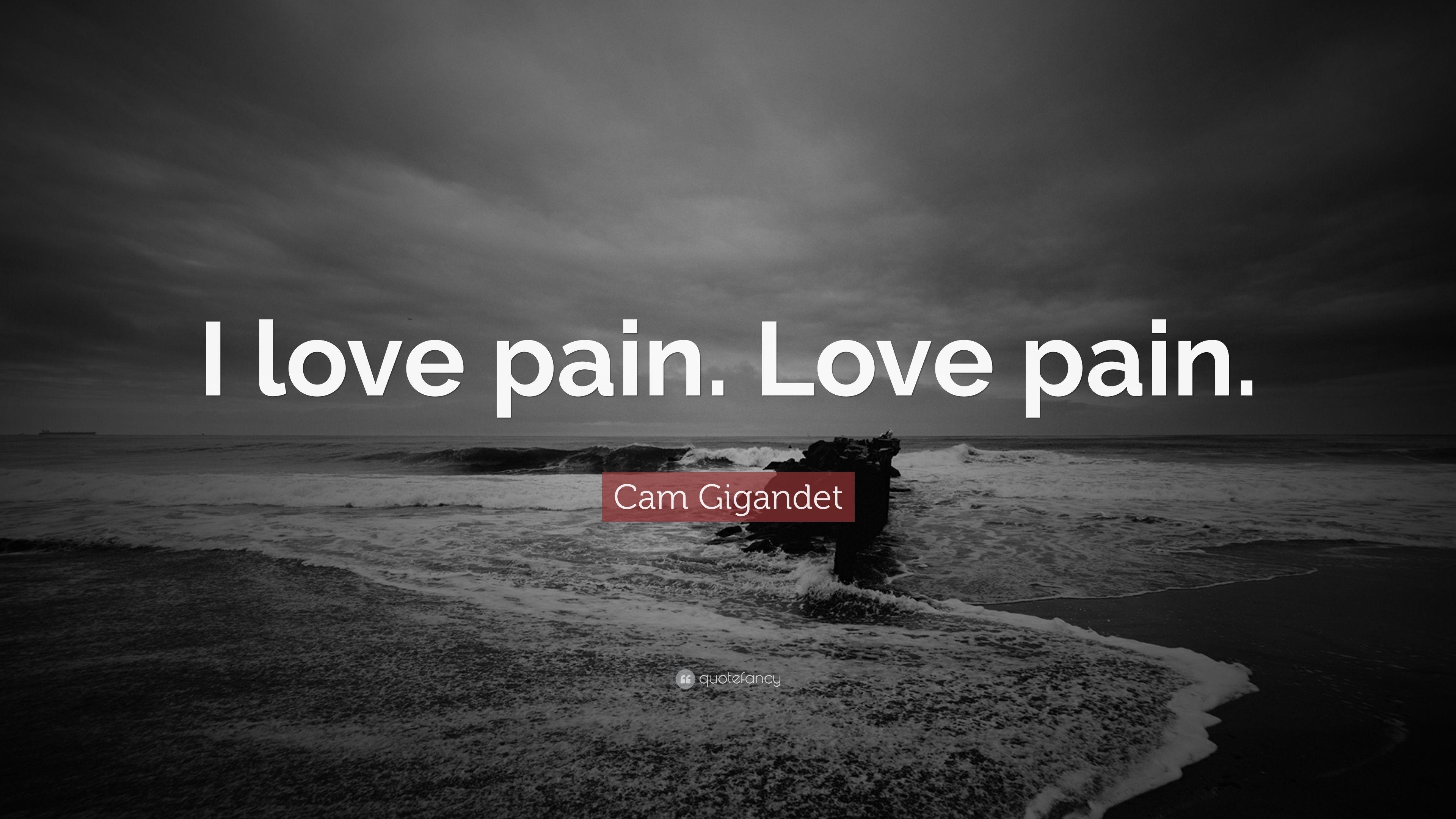 Cam Gigandet Quote: “I love pain. Love pain.” 7 wallpaper