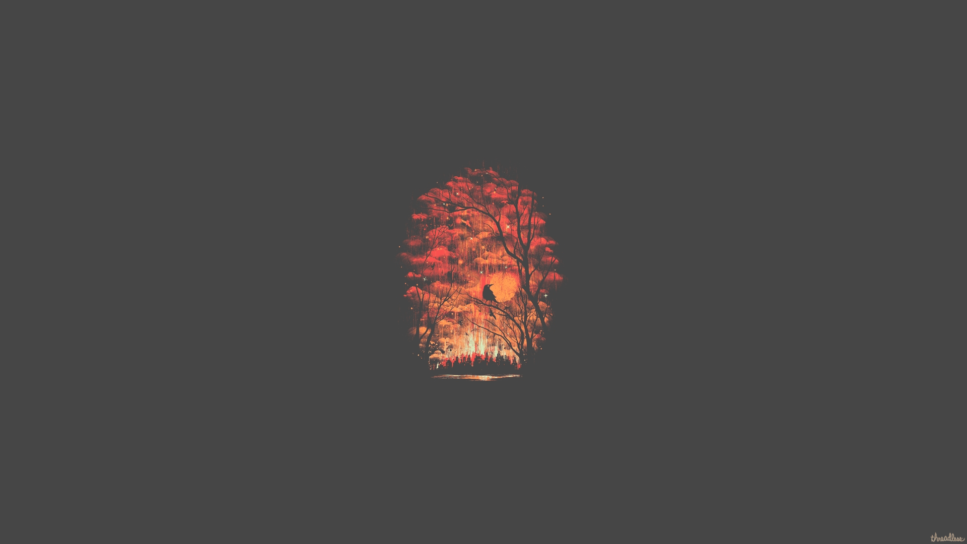 Forest Minimalist Minimalist, HD Artist, 4k Wallpaper, Image, Background