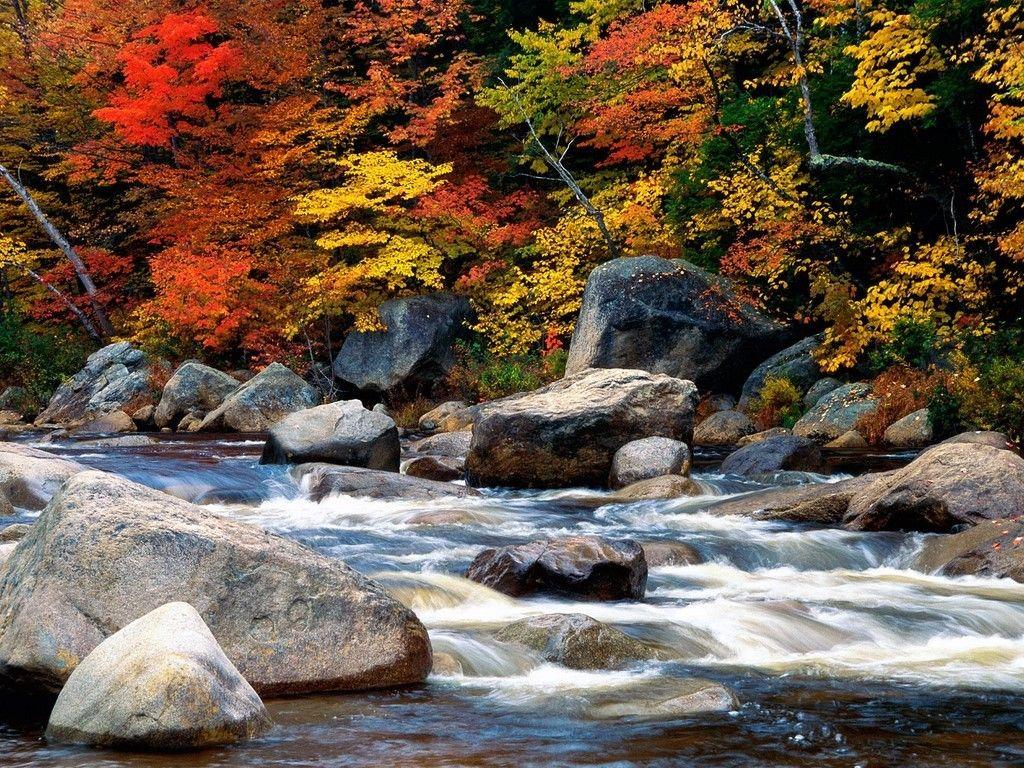 Misc: White Mountains New Hampshire Autumn Leaves Trees Rocks Stream