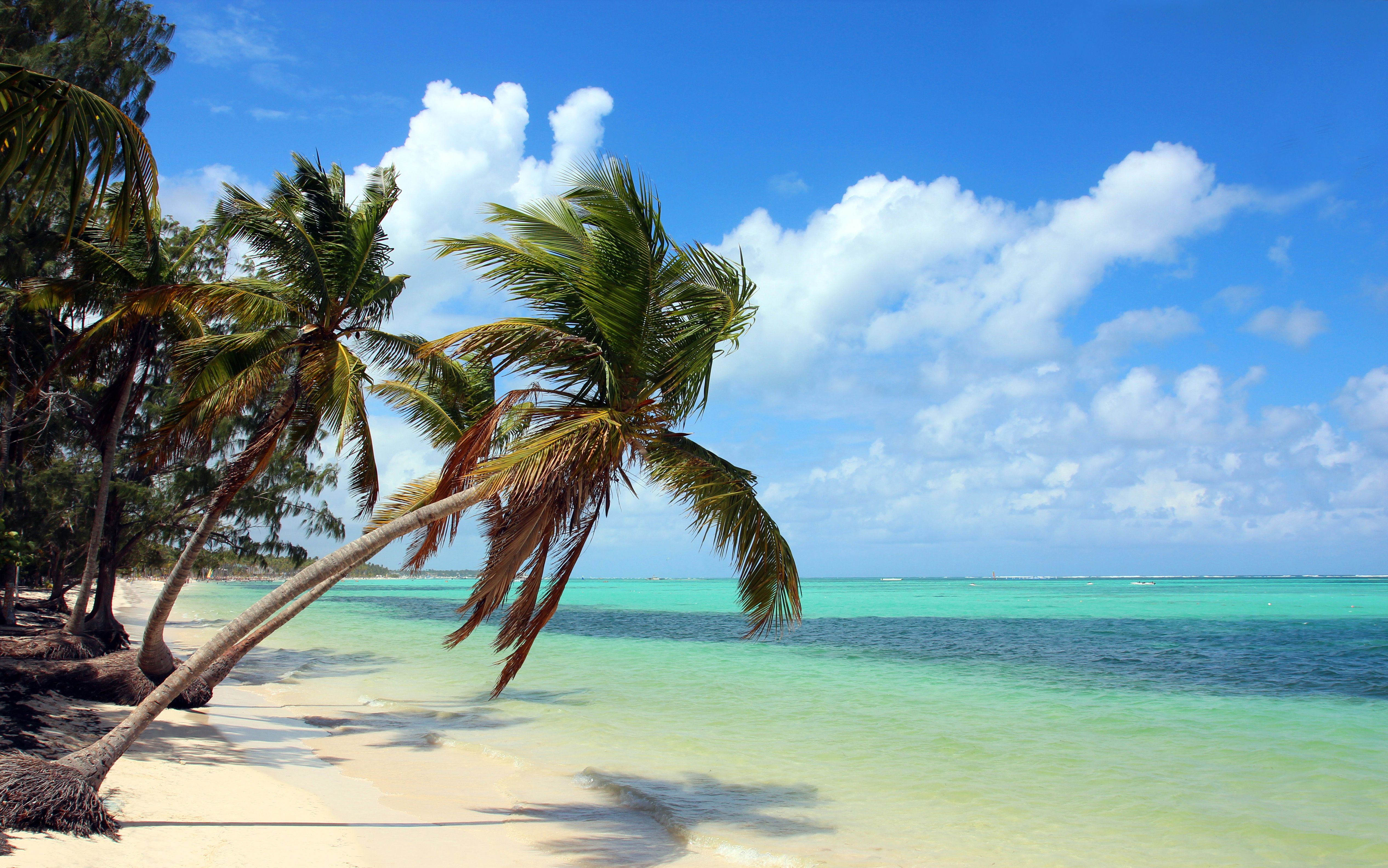 Vacation dominican republic