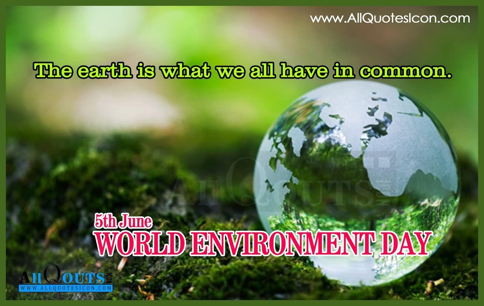 Most Wonderful World Environment Day