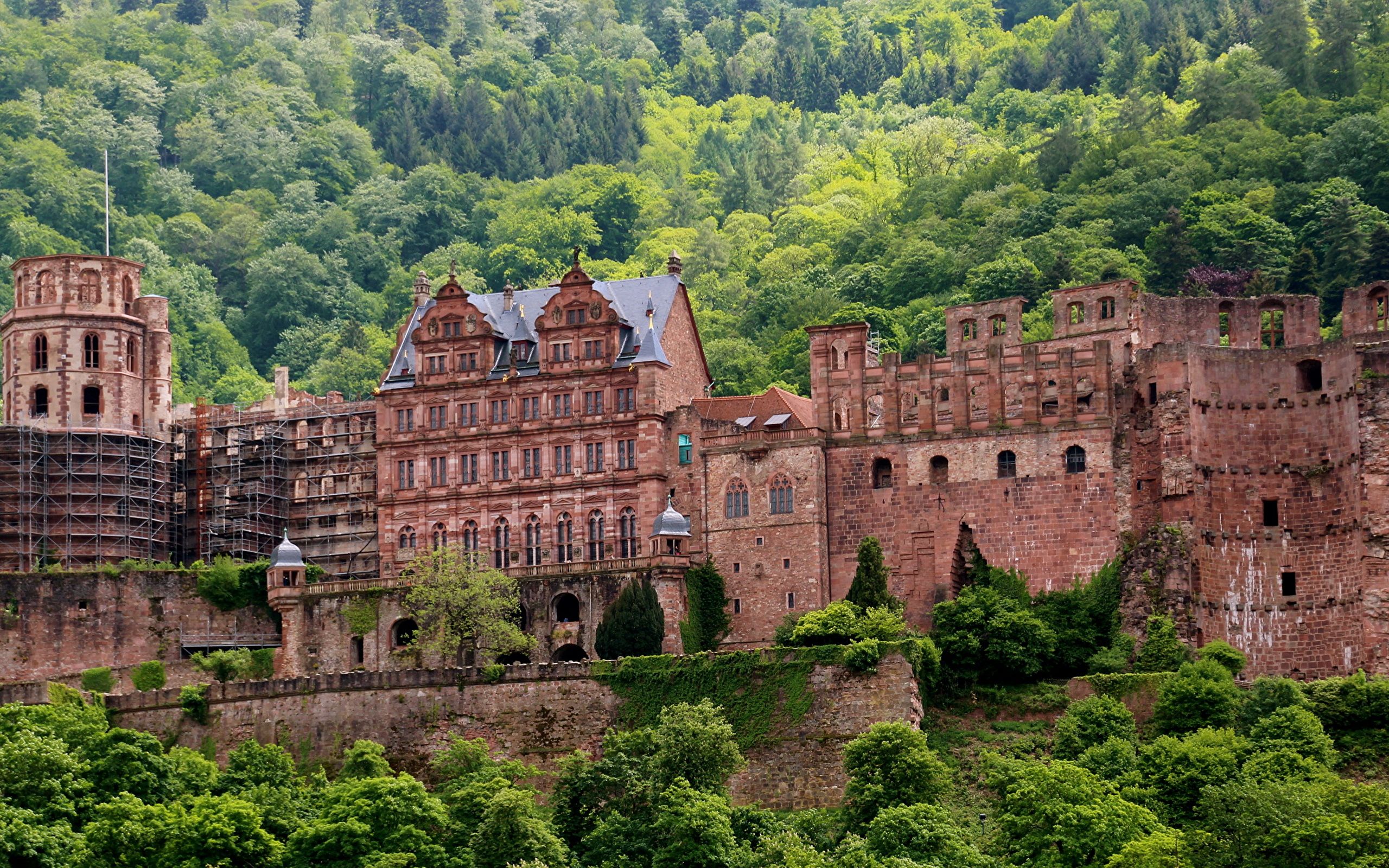 Wallpaper Germany Heidelberg Castles Cities 2560x1600