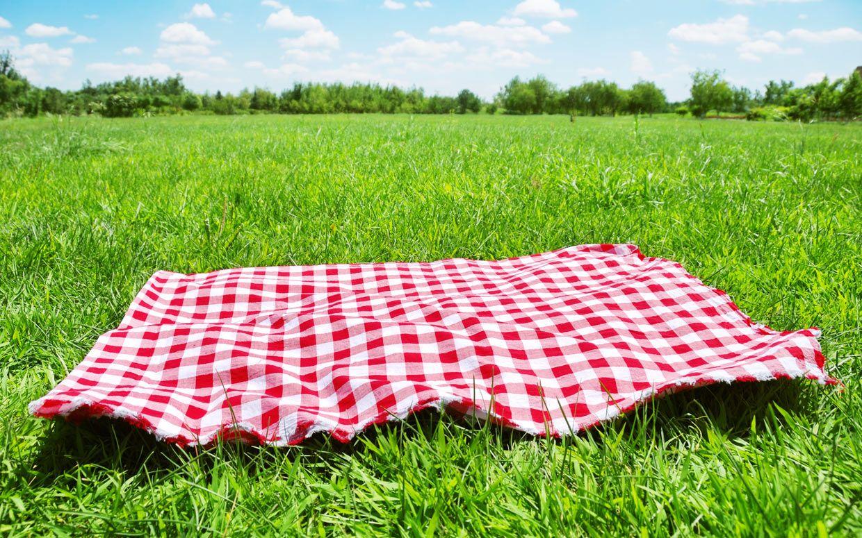 Sunday picnic went public anal compilation