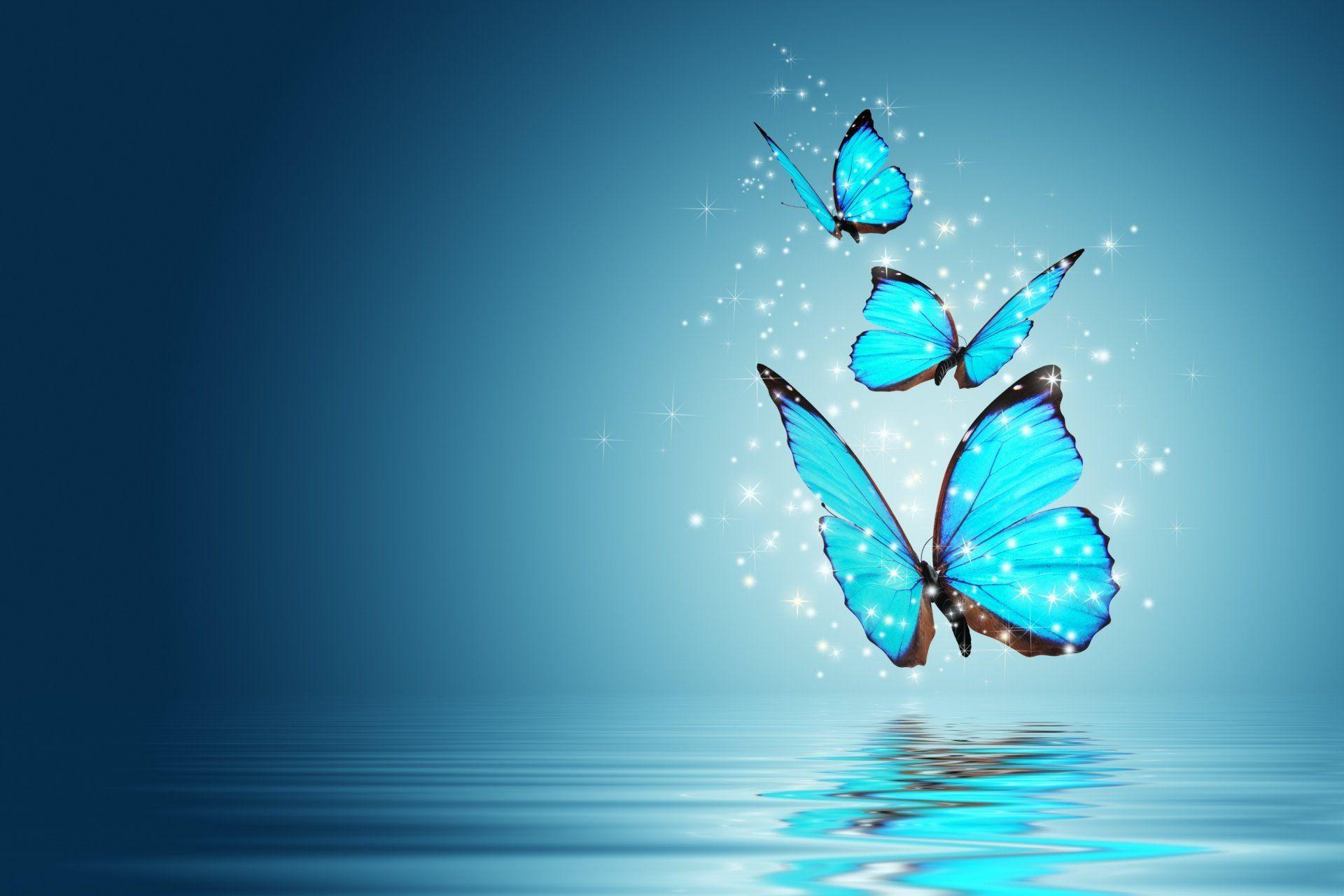 mood butterfly magic background blue wallpaper widescreen full