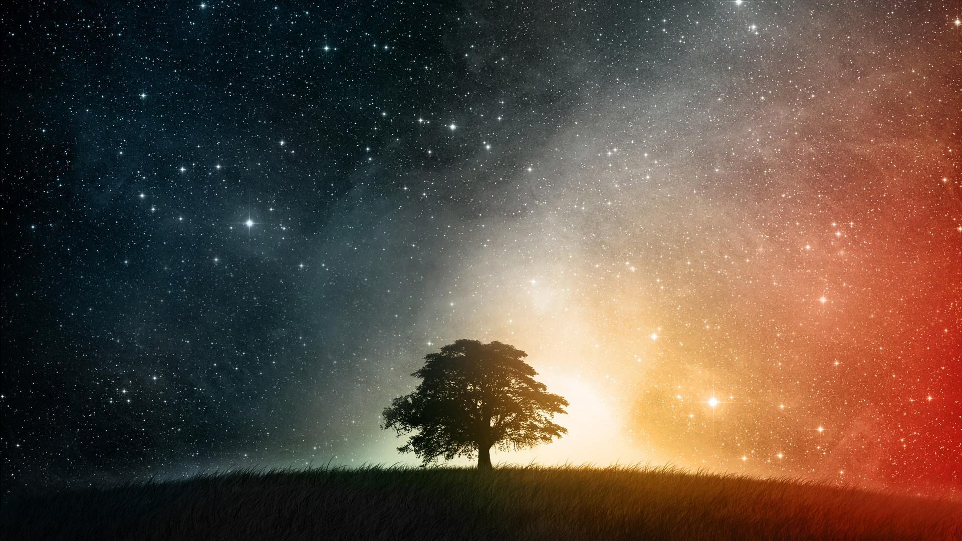 Звездное небо обои на айфон фото