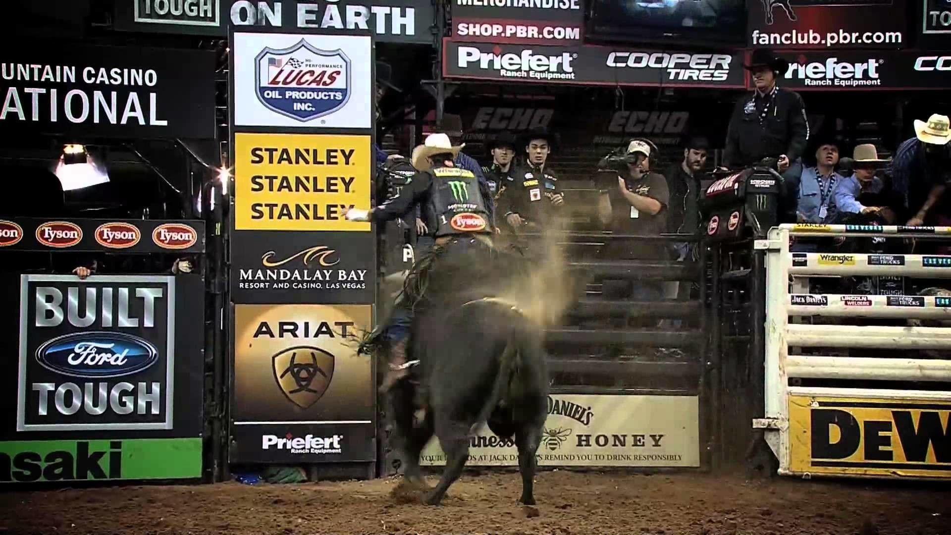 Bull Riding Background