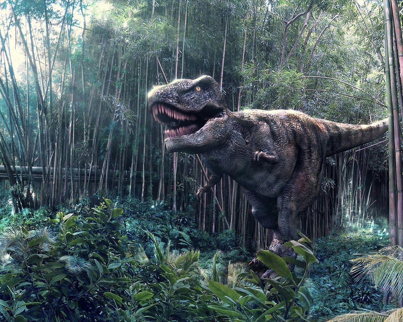 Tyrannosaurus Wallpapers Wallpaper Cave