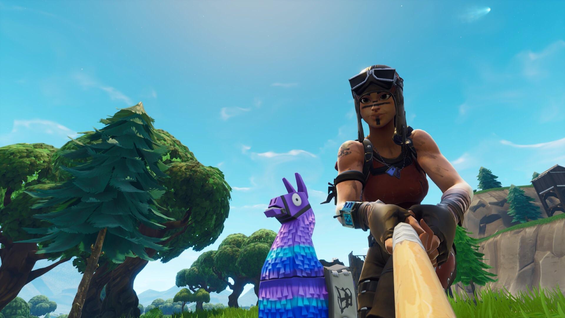 Took a selfie with a llama, ended up getting the comet too
