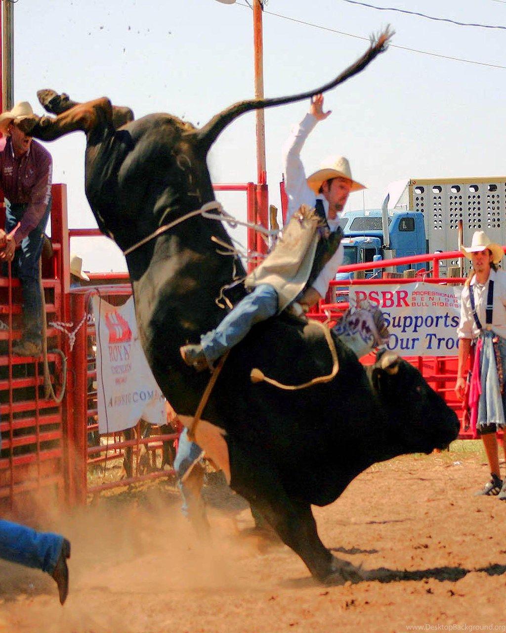 Cool Bull Riding Wallpaper Image Picture Becuo Desktop Background