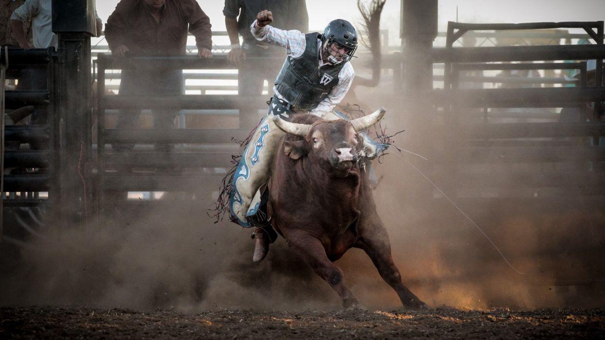 BULL RIDING bullrider cowboy western cow extreme bull rodeo
