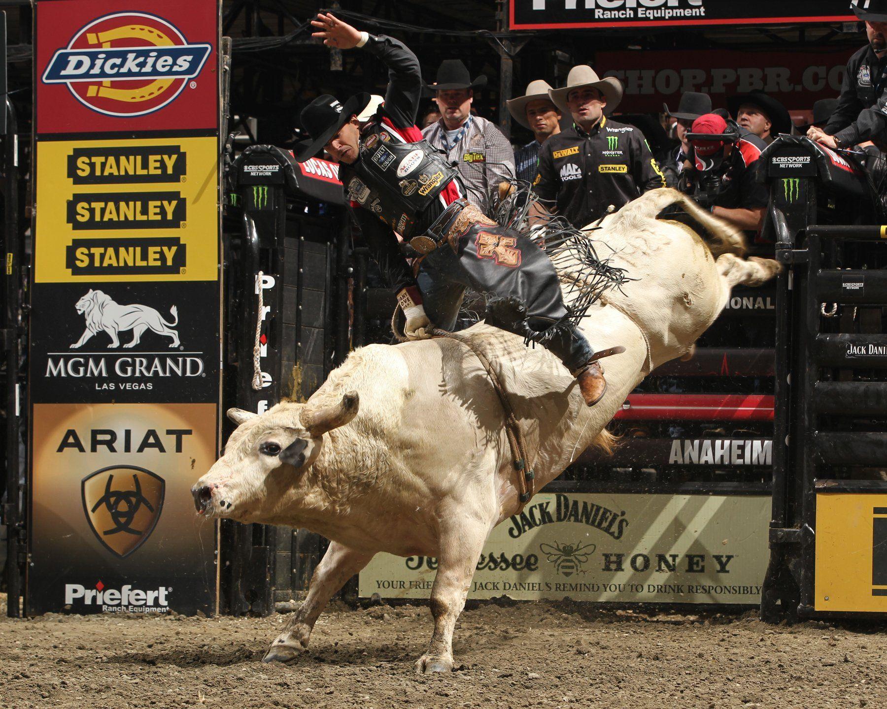 Bull riding bullrider rodeo western cowboy extreme cow (11)_JPG