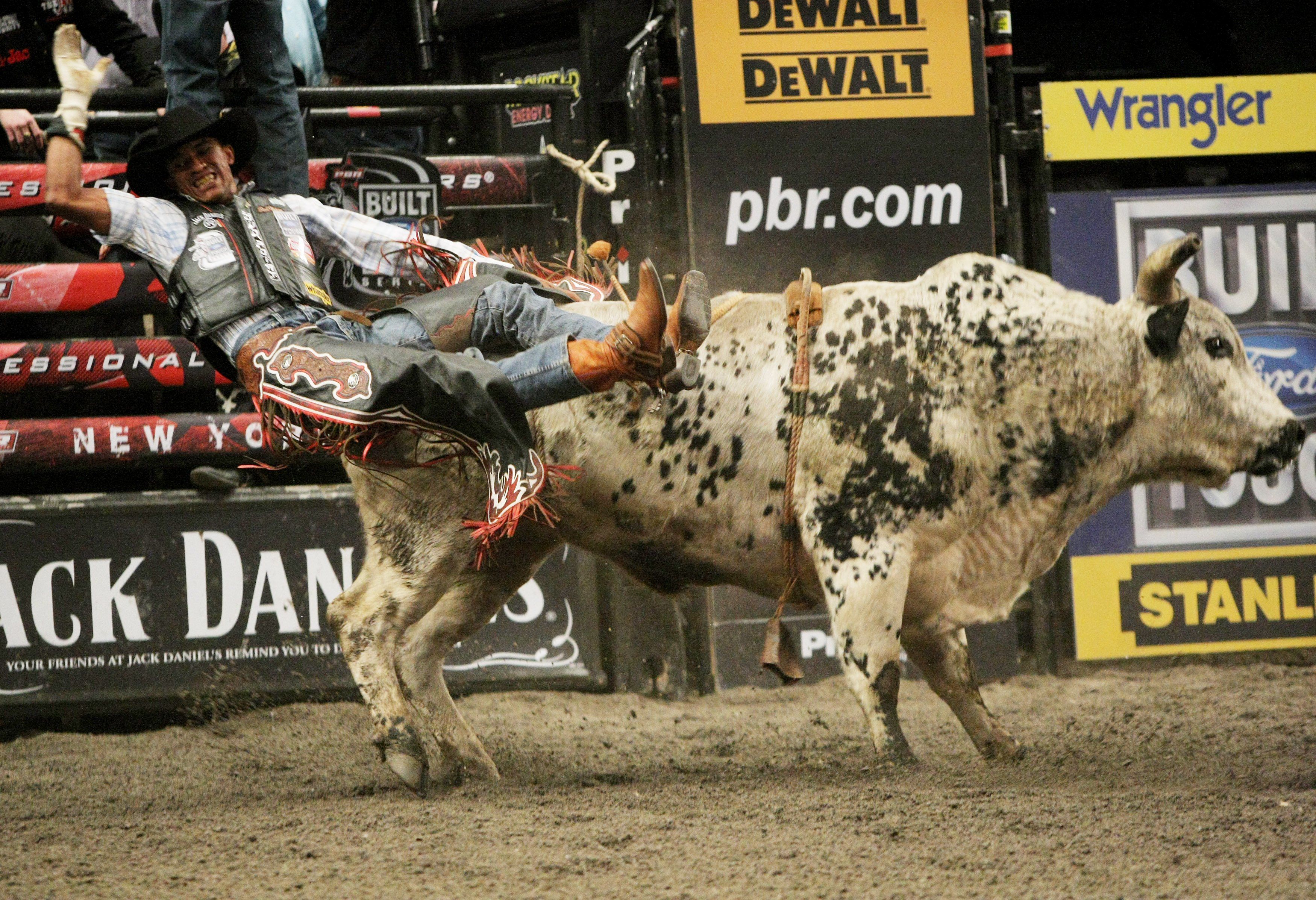 Bull riding bullrider rodeo western cowboy extreme cow (1) wallpaper