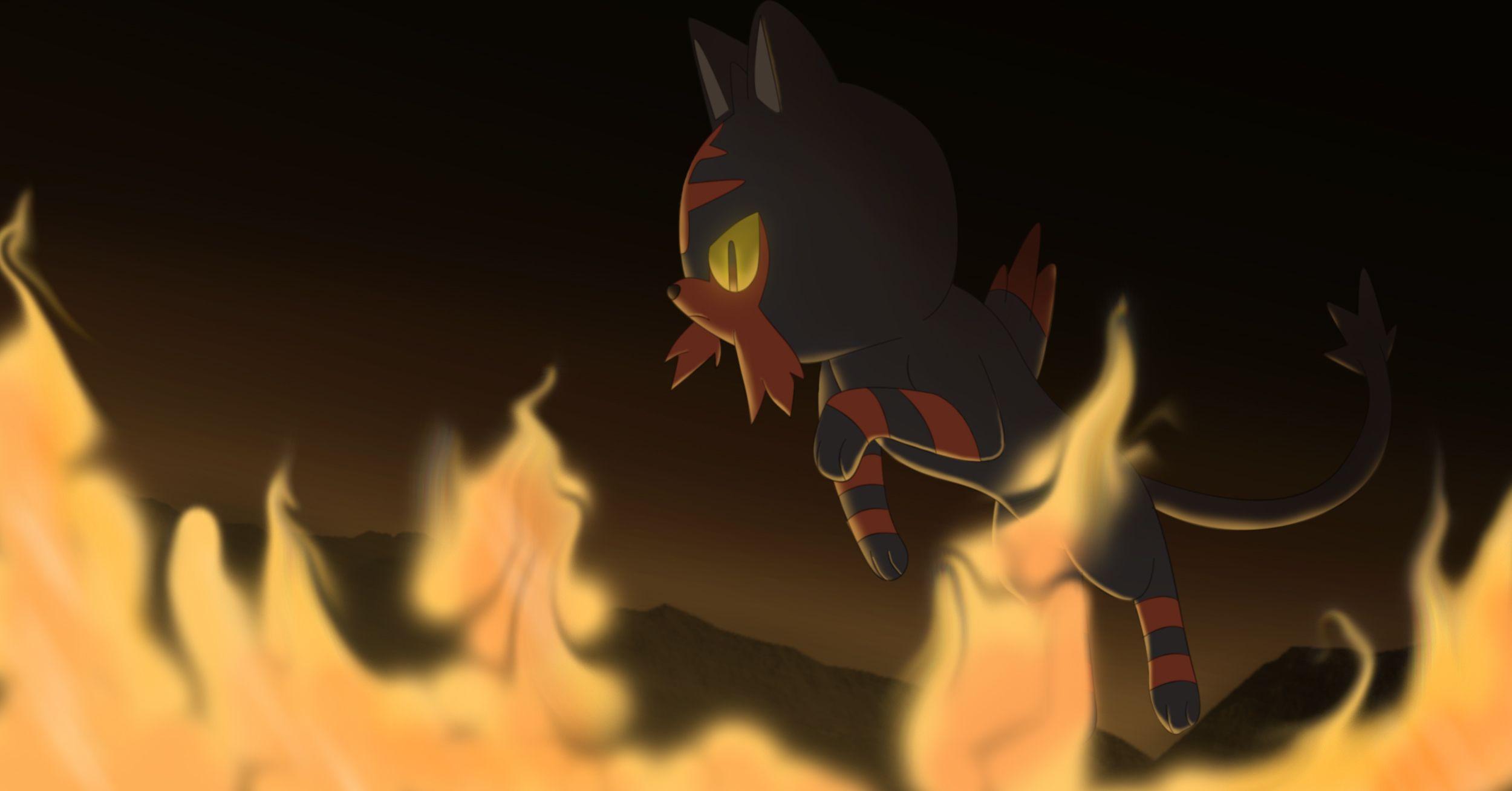 Litten (Pokémon) HD Wallpaper and Background Image