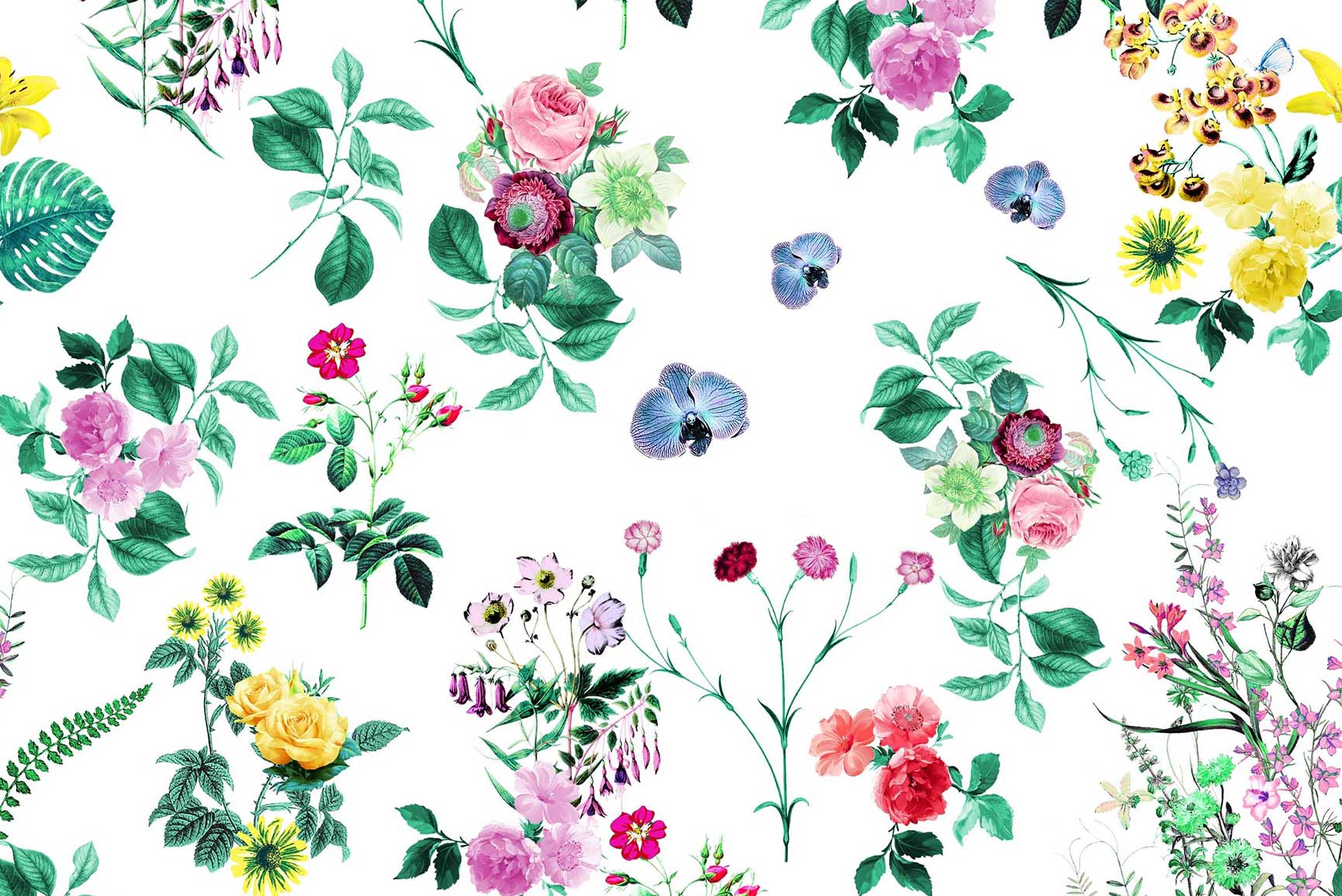 Pretty Floral iPhone 8 & 8 Plus HD Wallpaper