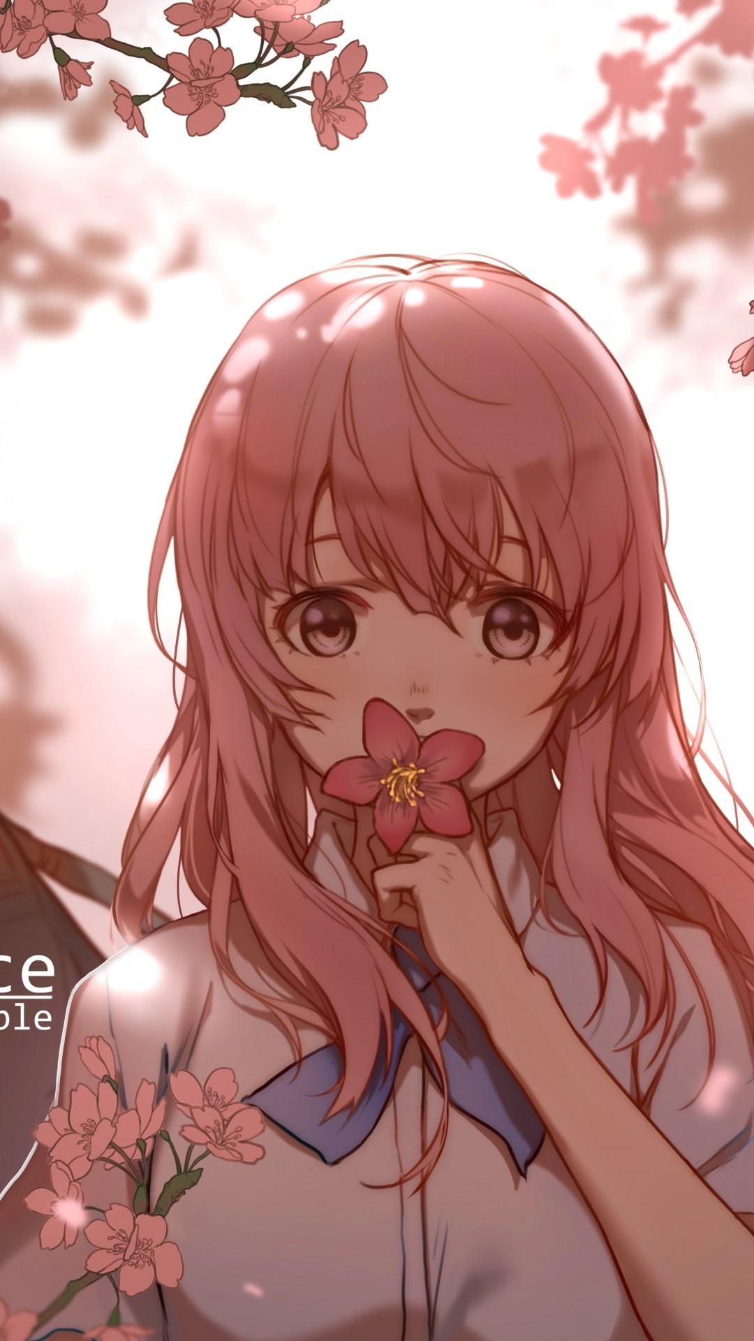 Download 1080x1920 Nishimiya Shouko, Koe No Katachi, Cherry Blossom