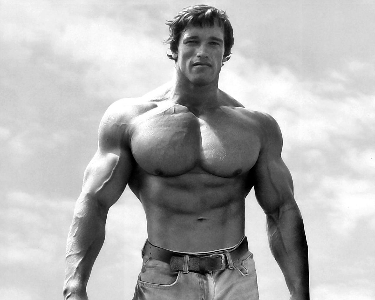 Top Arnold Schwarzenegger Wallpaper with awesome 1280x1024 resolution