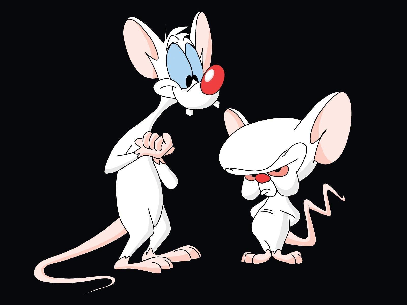 Pinky And The Brain HD Wallpaper and Background Image