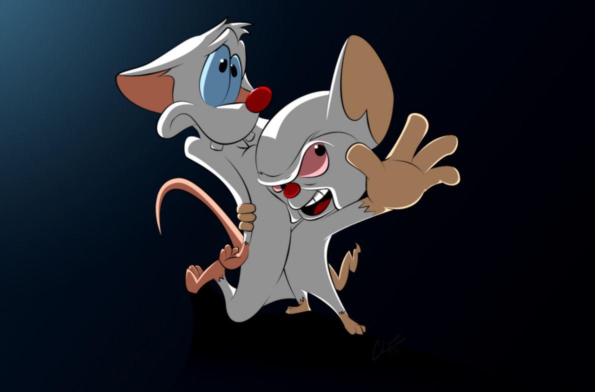 Pinky And The Brain Wallpaper 15 X 784