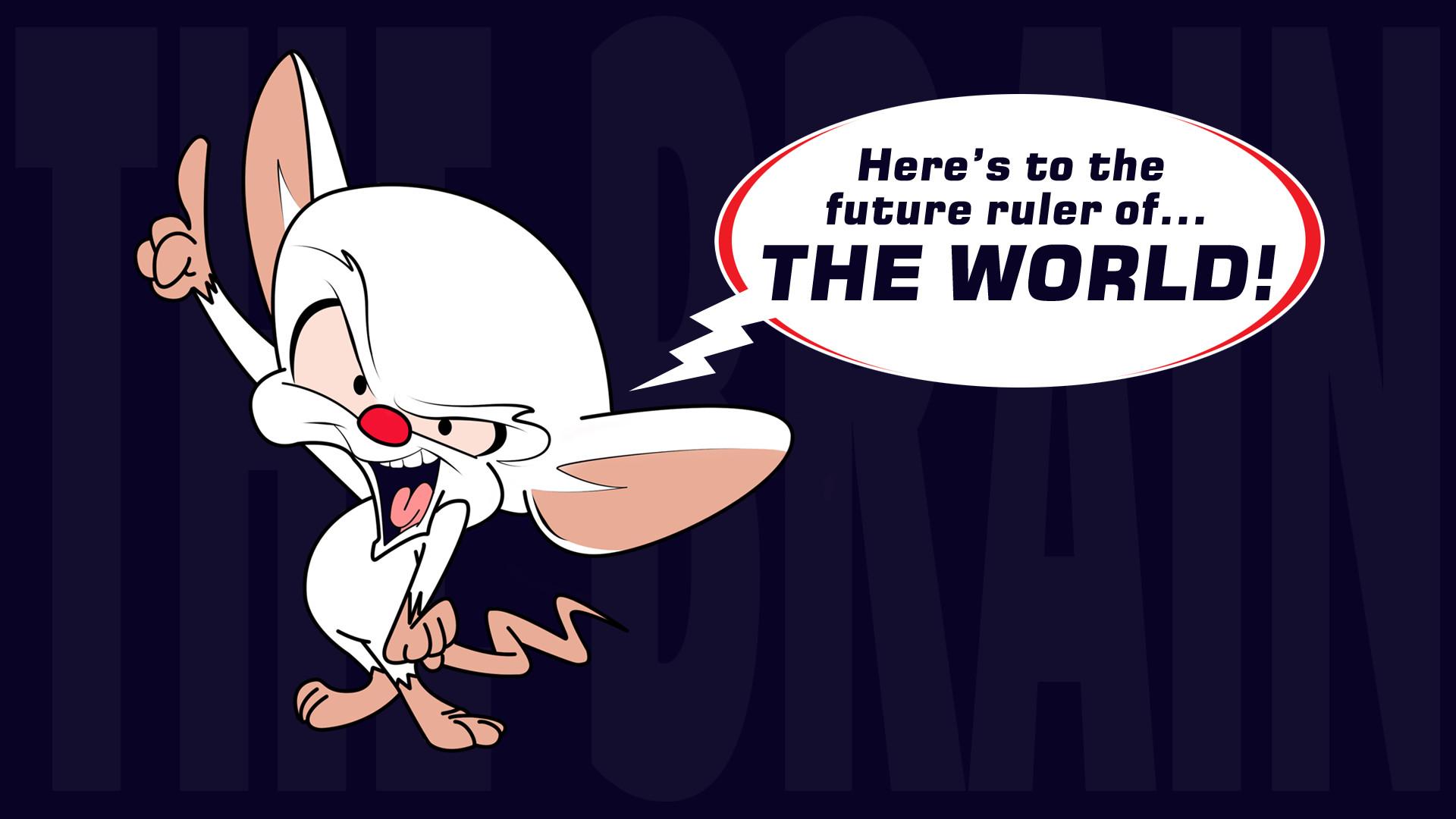 Pinky And The Brain Wallpaper 20 X 1080