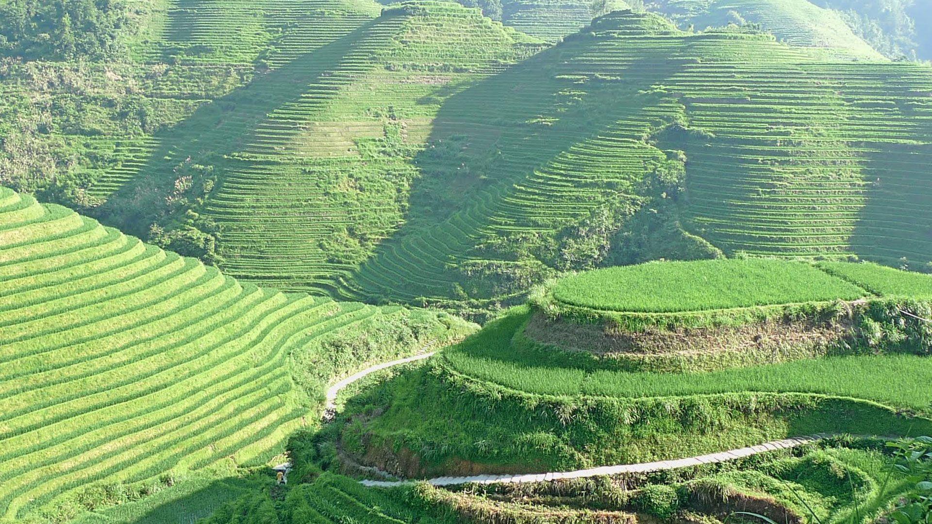 banaue rice terraces philippines. Ancient Constructs