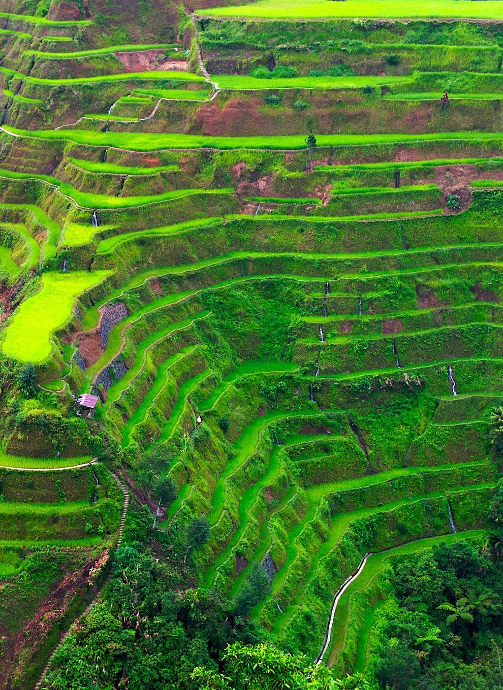 The rice terrace fields of Banaue country, the Philippines place