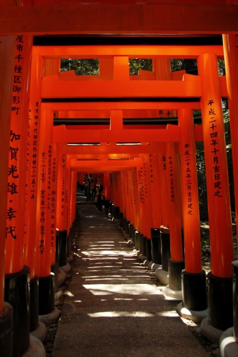 Fushimi Inari Taisha 1 Background Image for Free Download