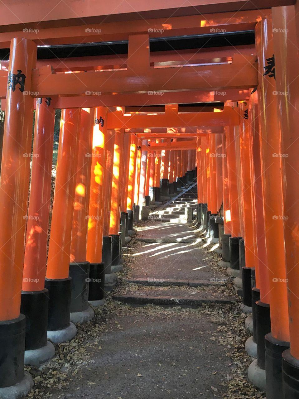Foap.com: Fushimi Inari Shrine, Kyoto