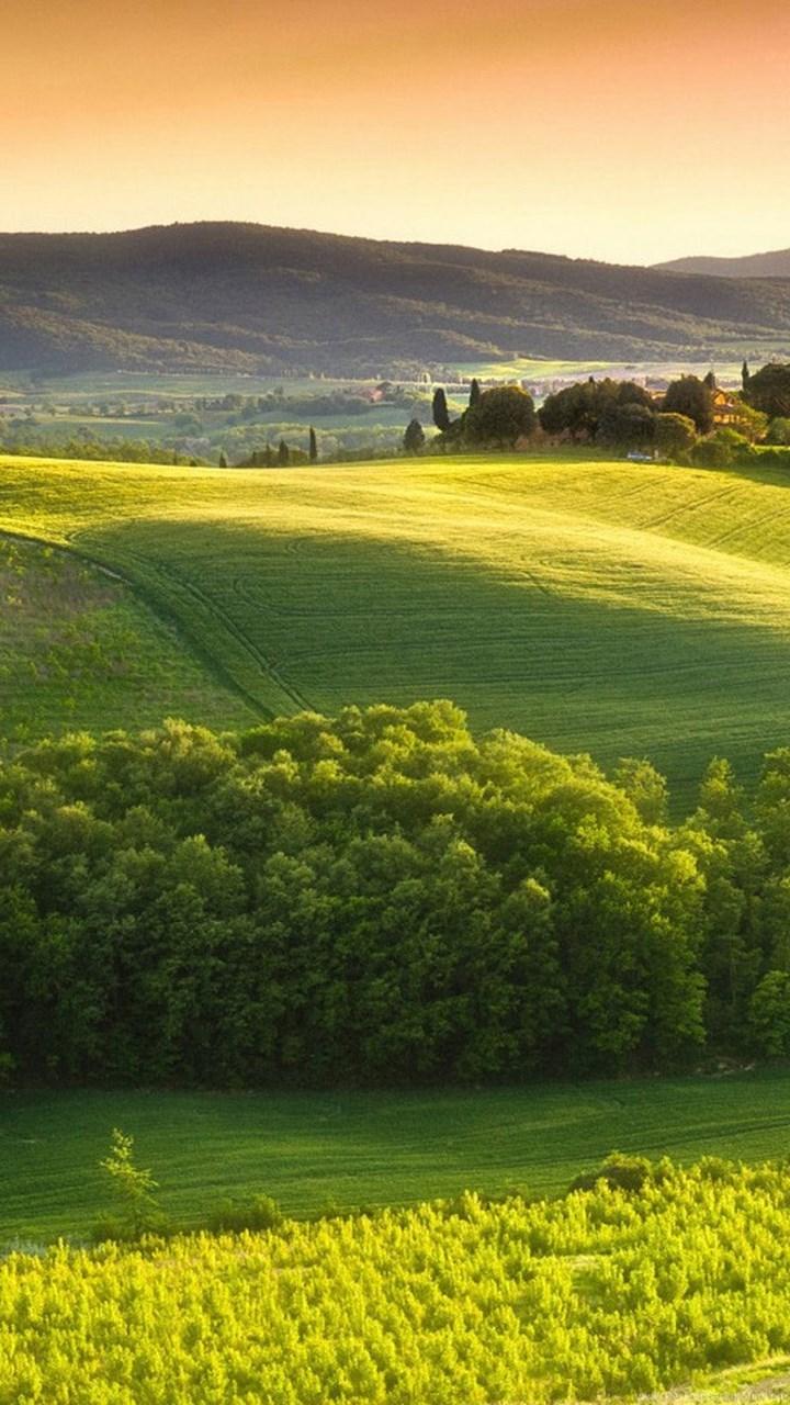 Tuscan Countryside Wallpaper