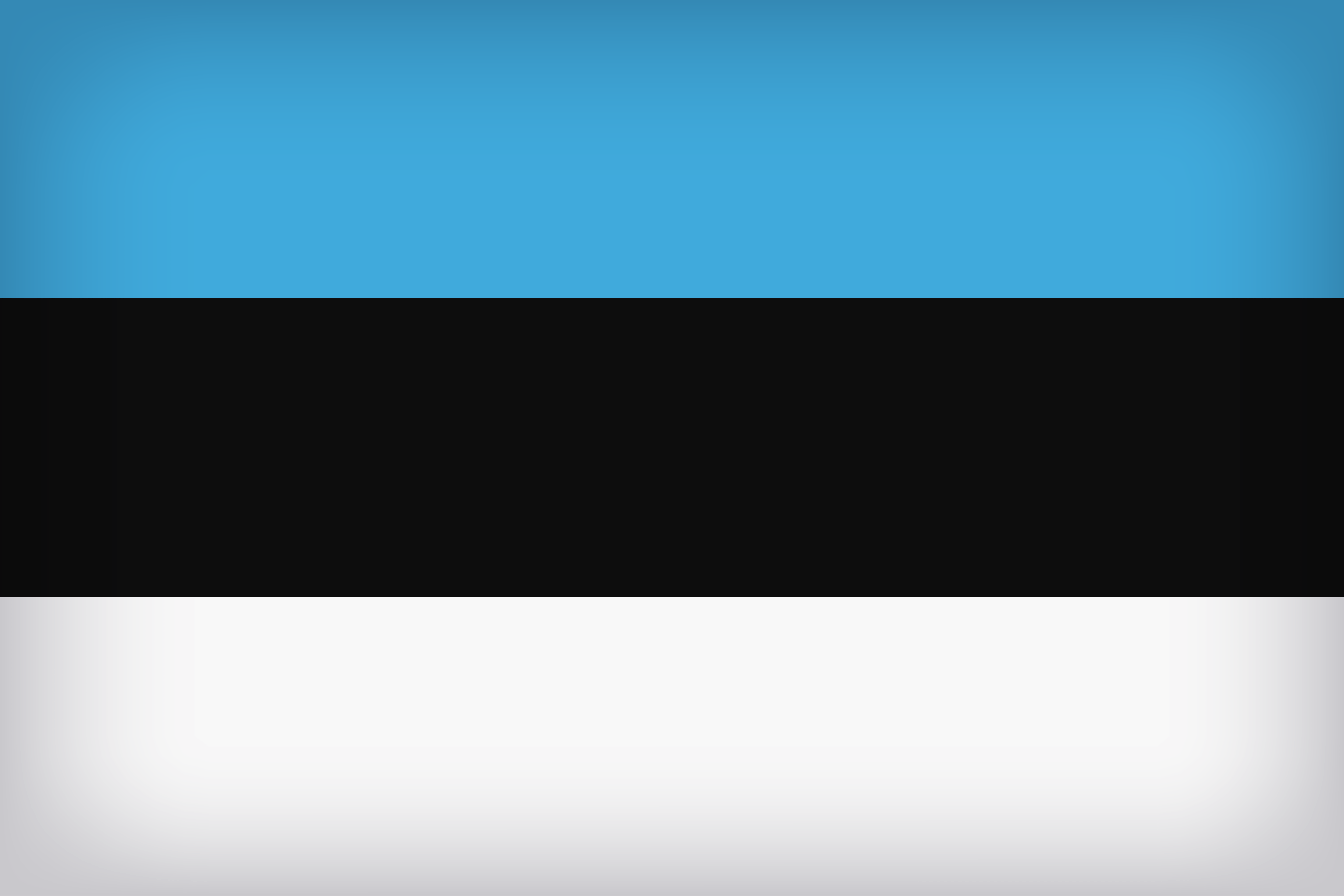 Estonia Large Flag Quality Image