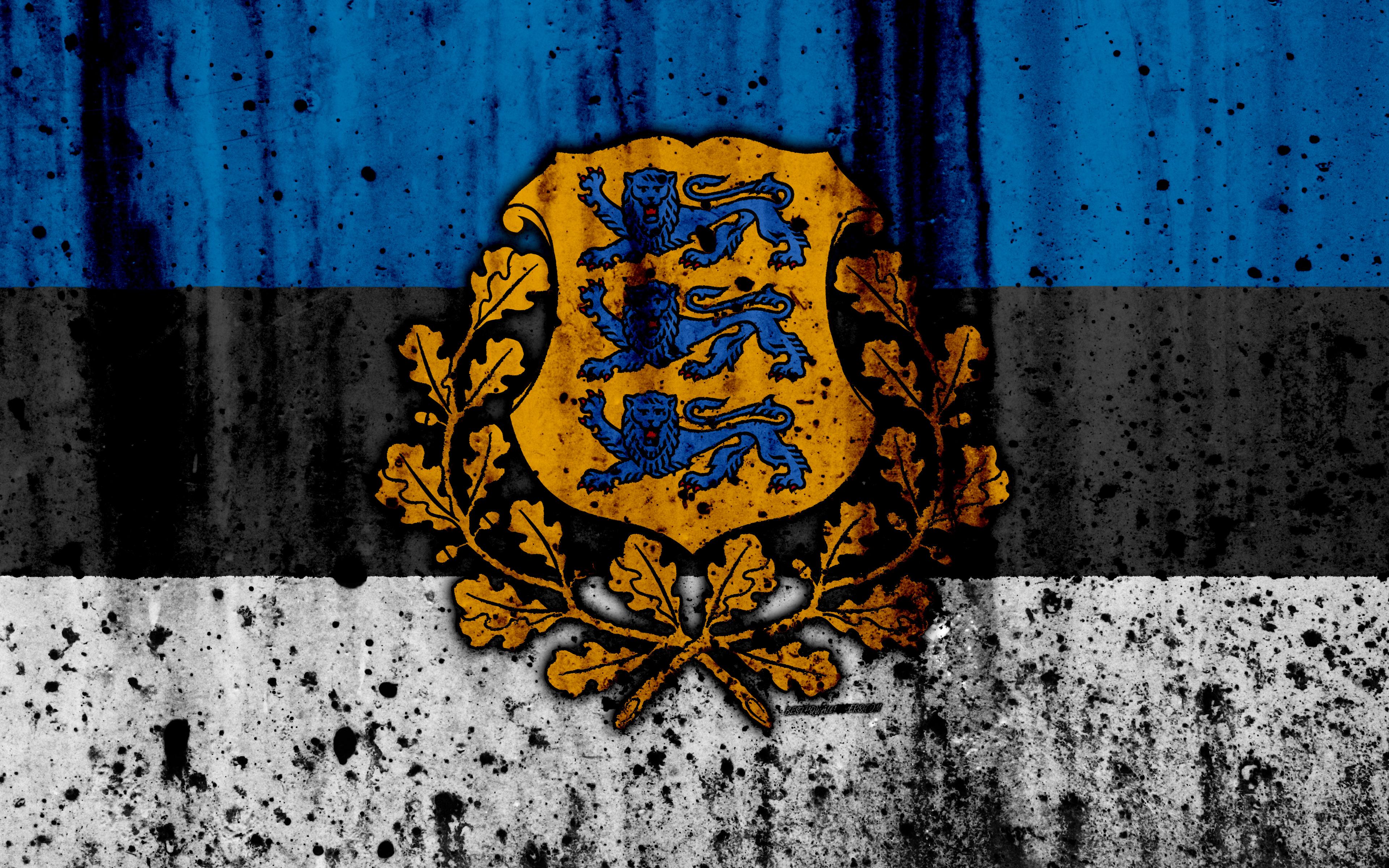 Download wallpaper Estonian flag, 4k, grunge, flag of Estonia