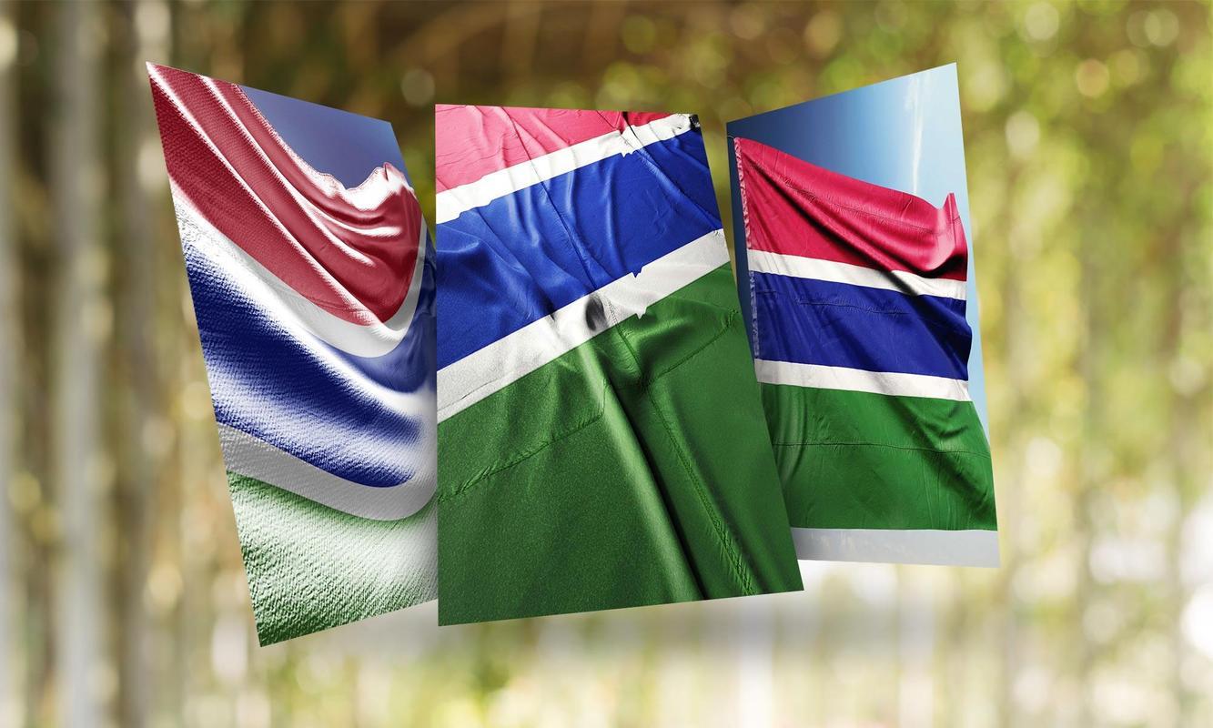 Gambia Flag Wallpaper for Android