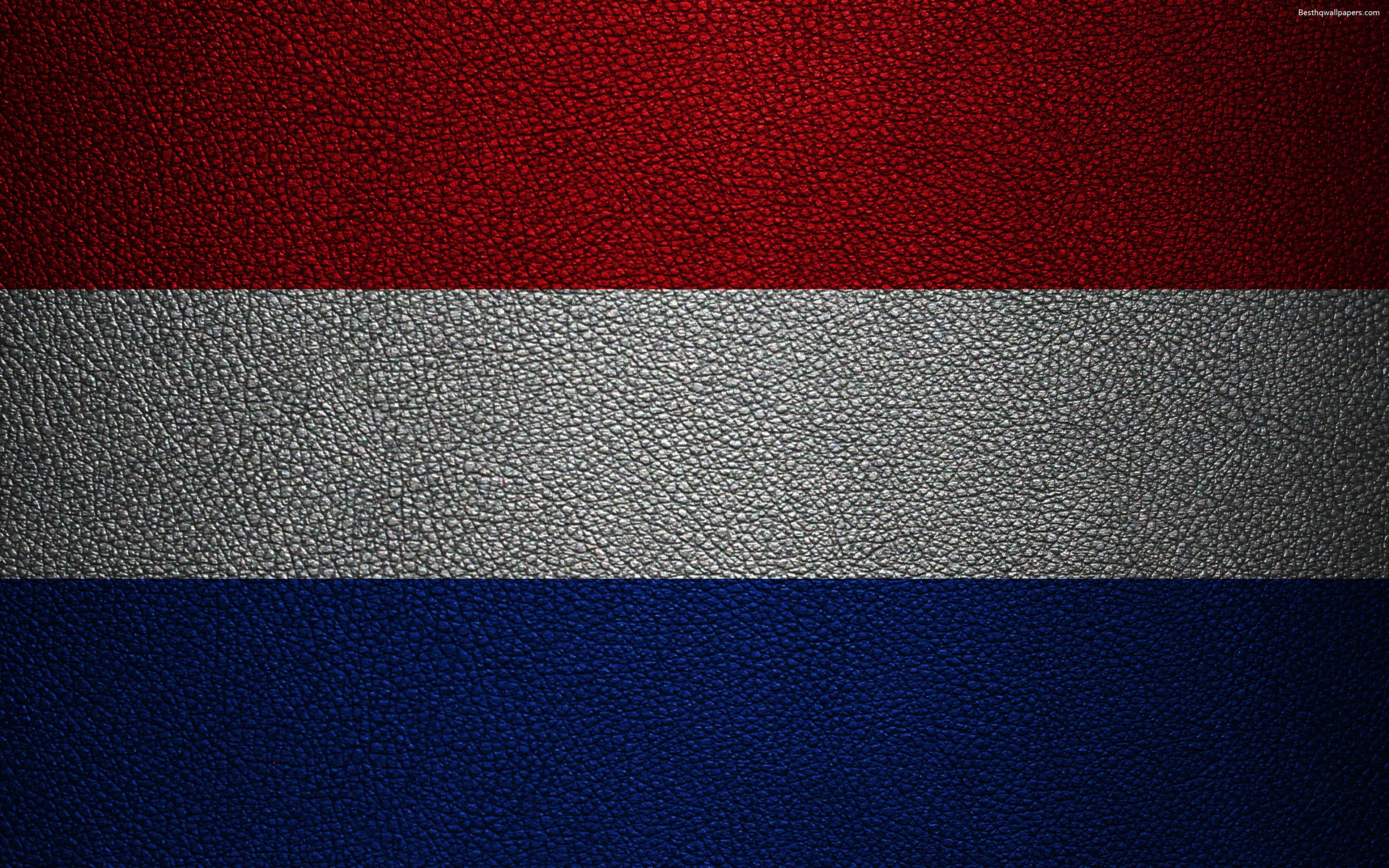 Download wallpaper Flag of the Netherlands, 4k, leather texture