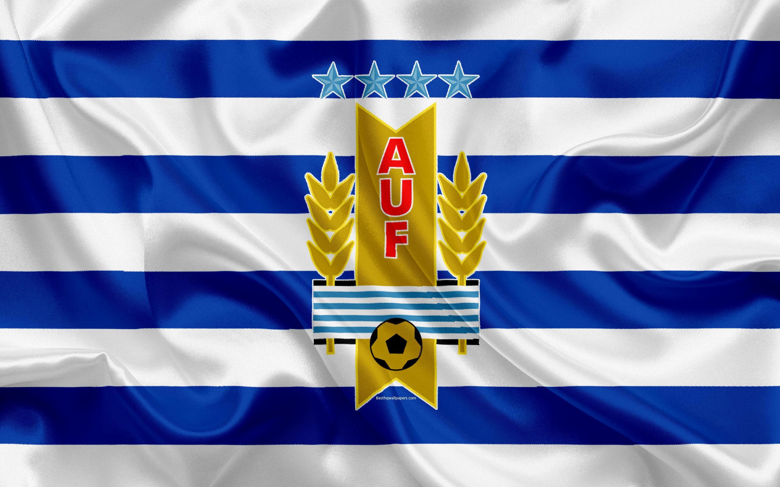 Download wallpaper Uruguay national football team, logo, emblem
