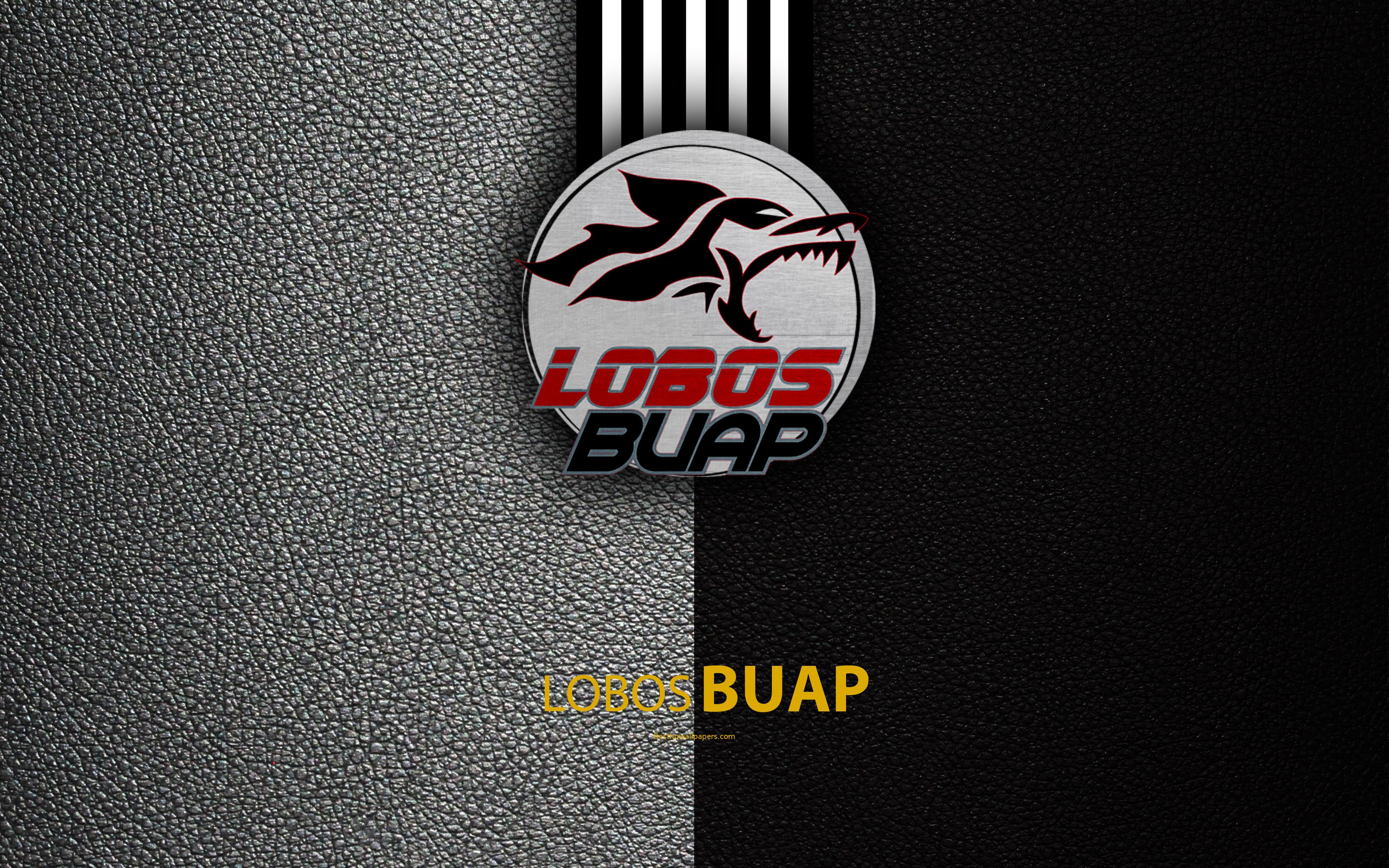 Download wallpaper Lobos BUAP, 4k, leather texture, logo, Mexican