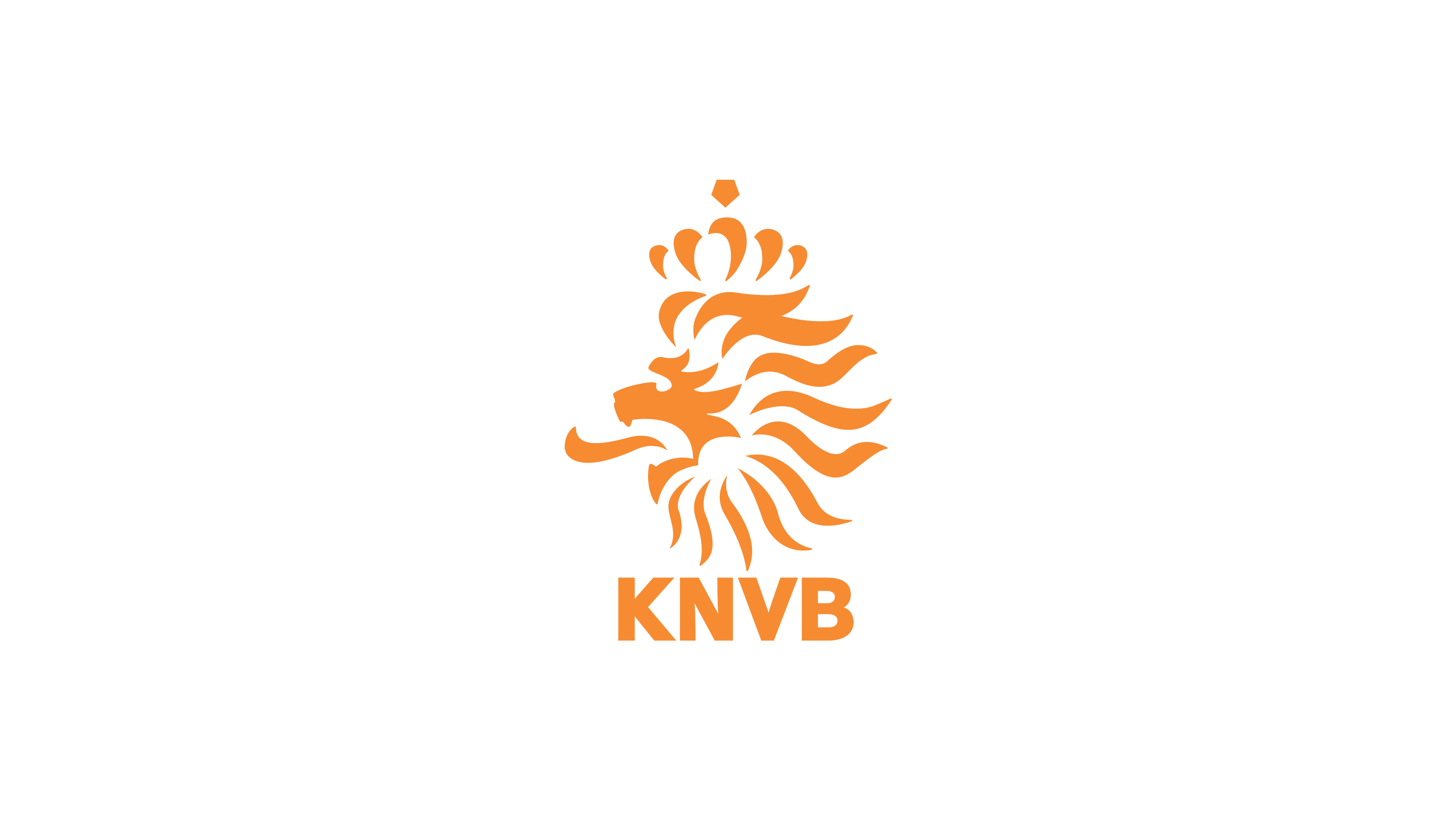 The Netherlands Soccer Team HD Wallpaper. Background Image