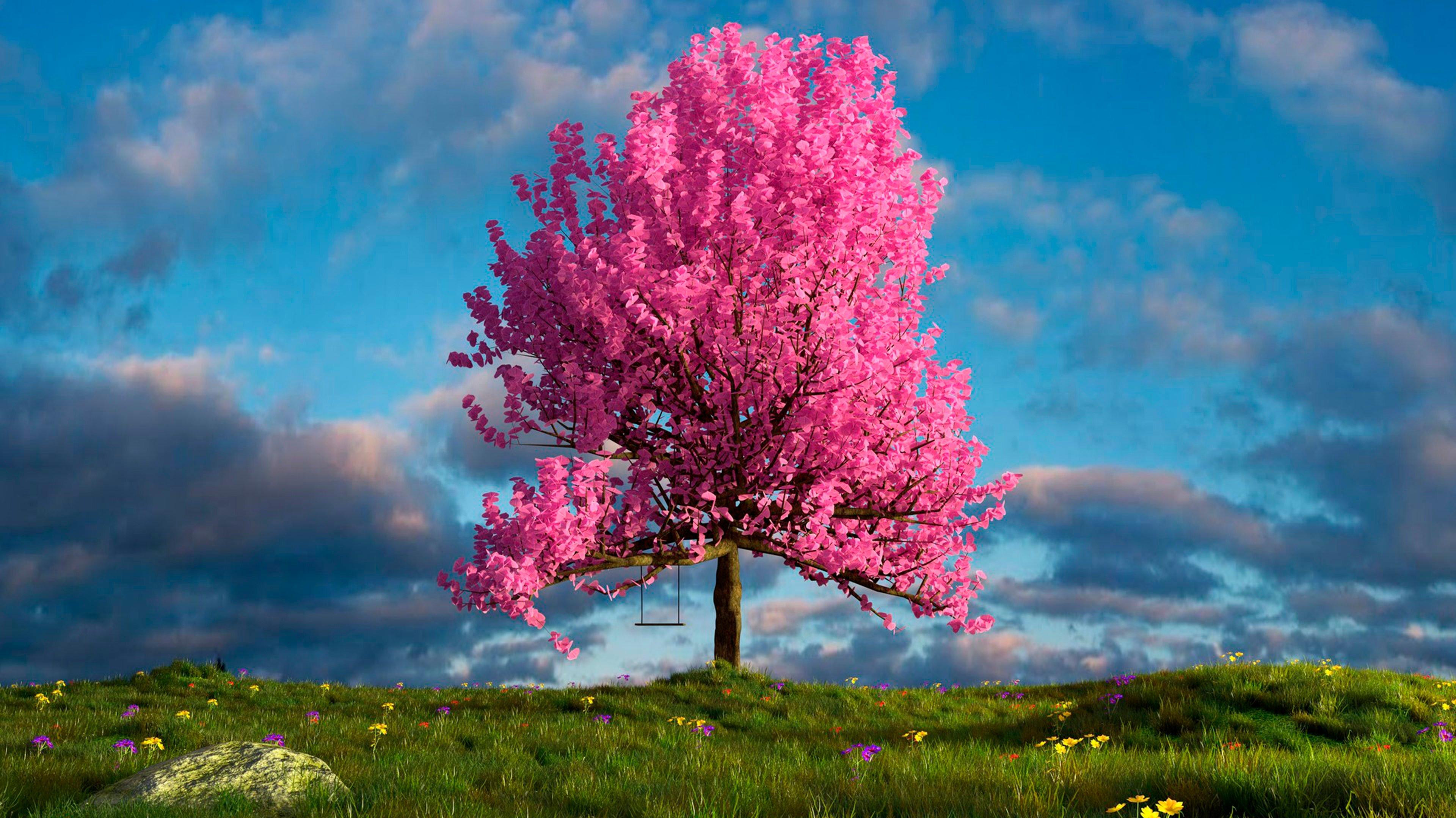 Голая баловница залезла на цветущее дерево