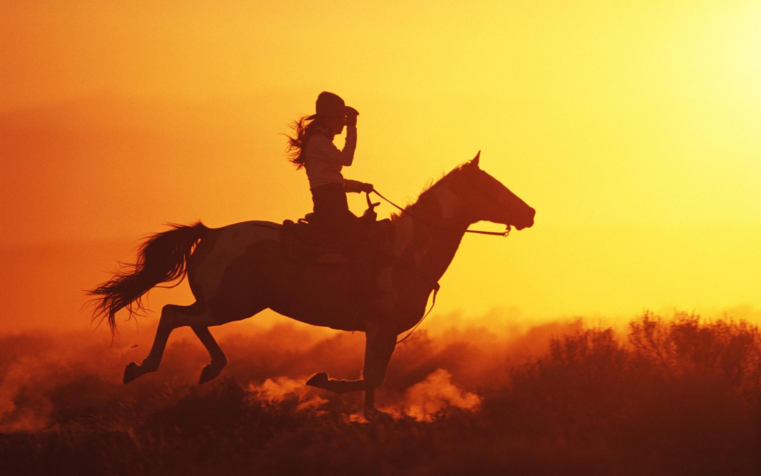 Best cowgirl riding fan photo