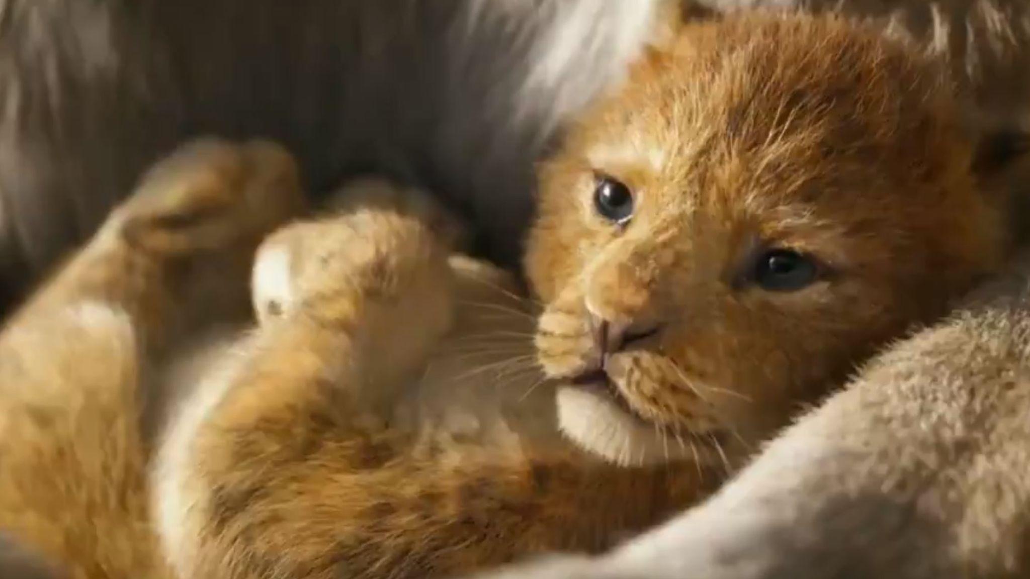 The Lion King: Watch first trailer for remake starring Beyonce