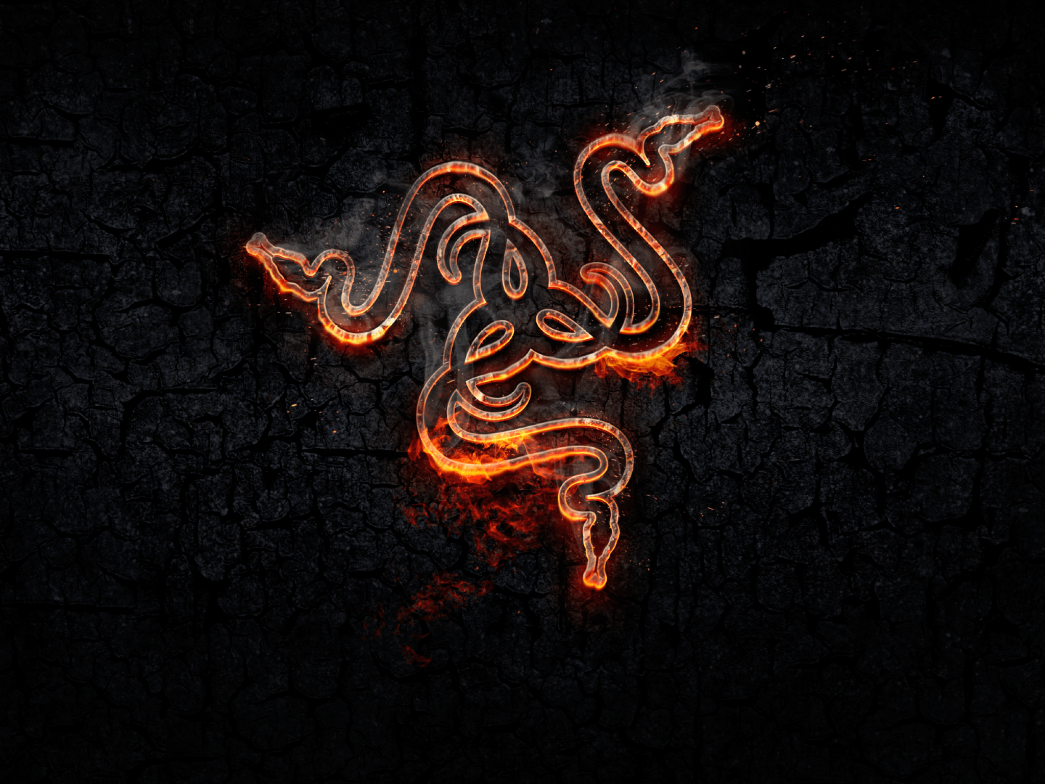 Download 2048x1536 Razer, Logo, Fire, Gaming, Snake Wallpaper