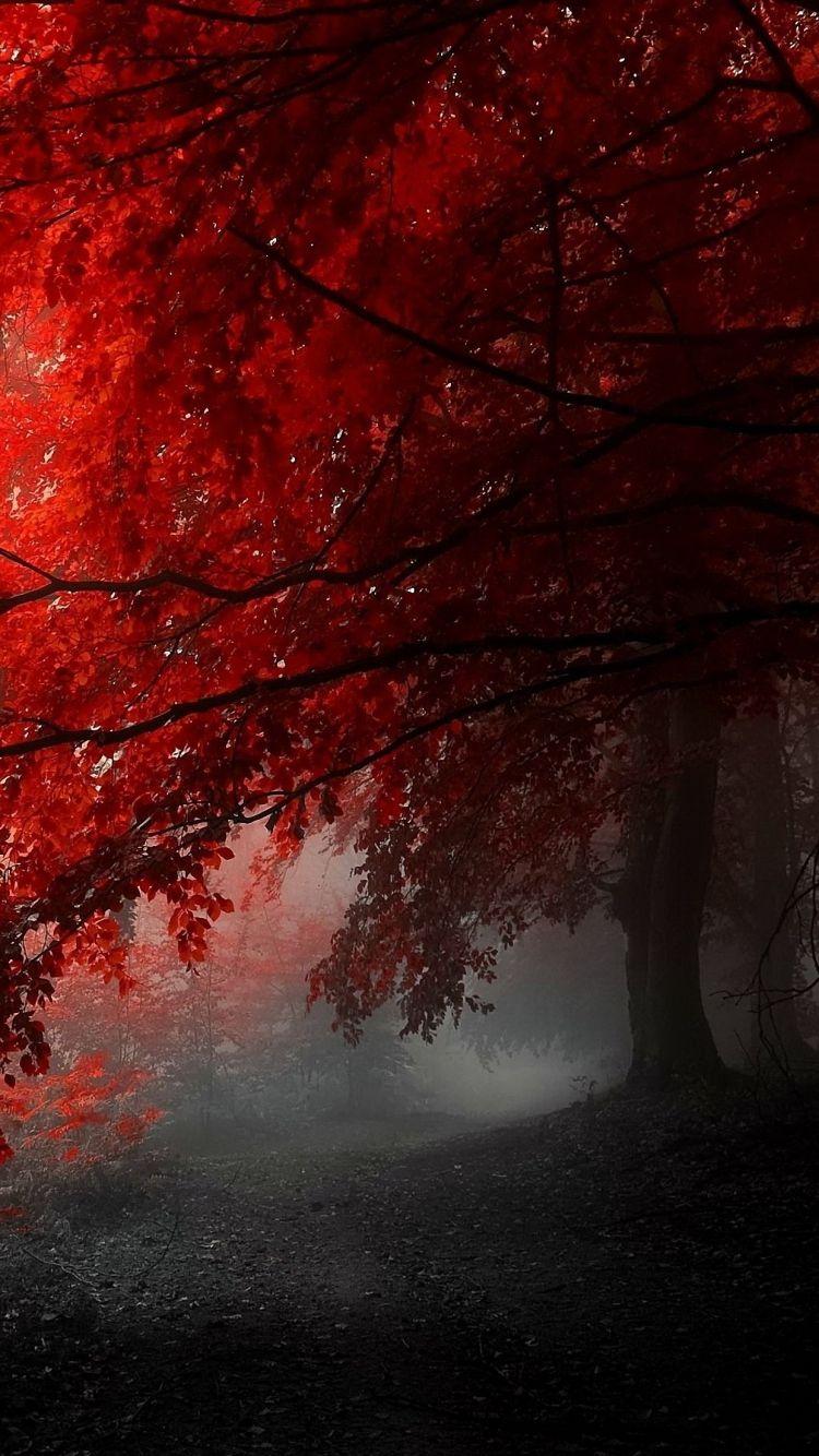HD 750x1334 awesome red tree iphone 6 wallpaper. Fall Wallpaper